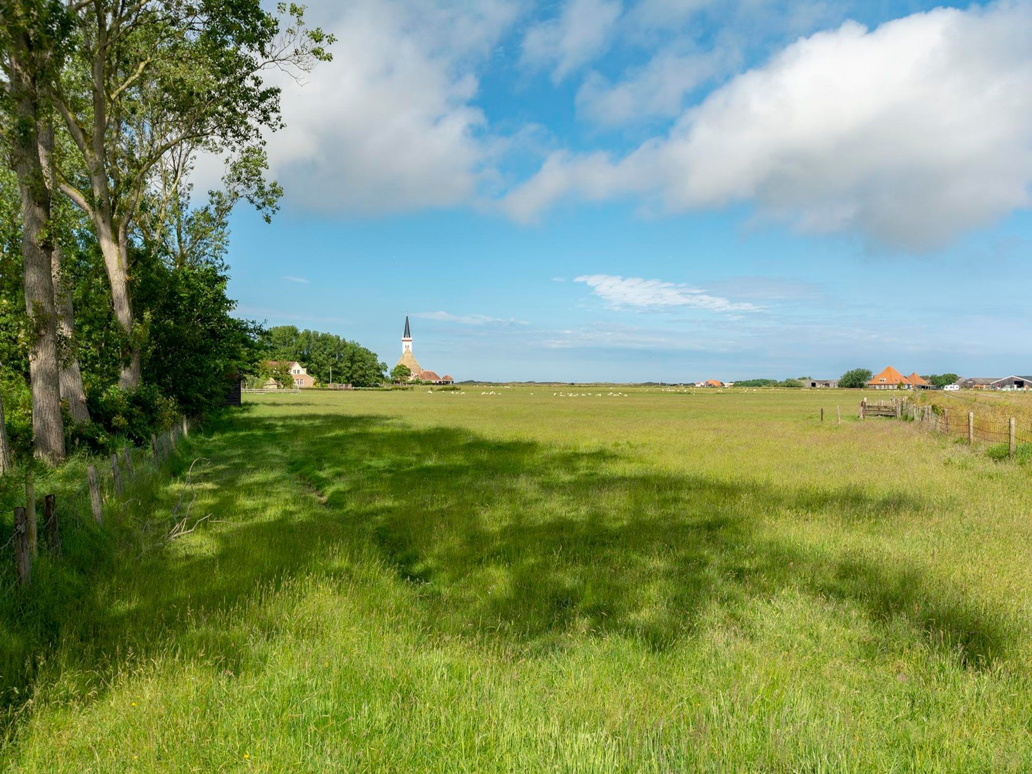 De tuin van Beach Studio Texel in De Koog