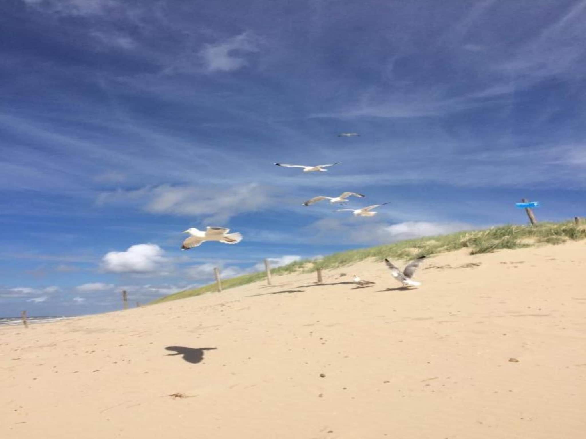 Beach Studio Texel in De Koog - Foto 27 van 38