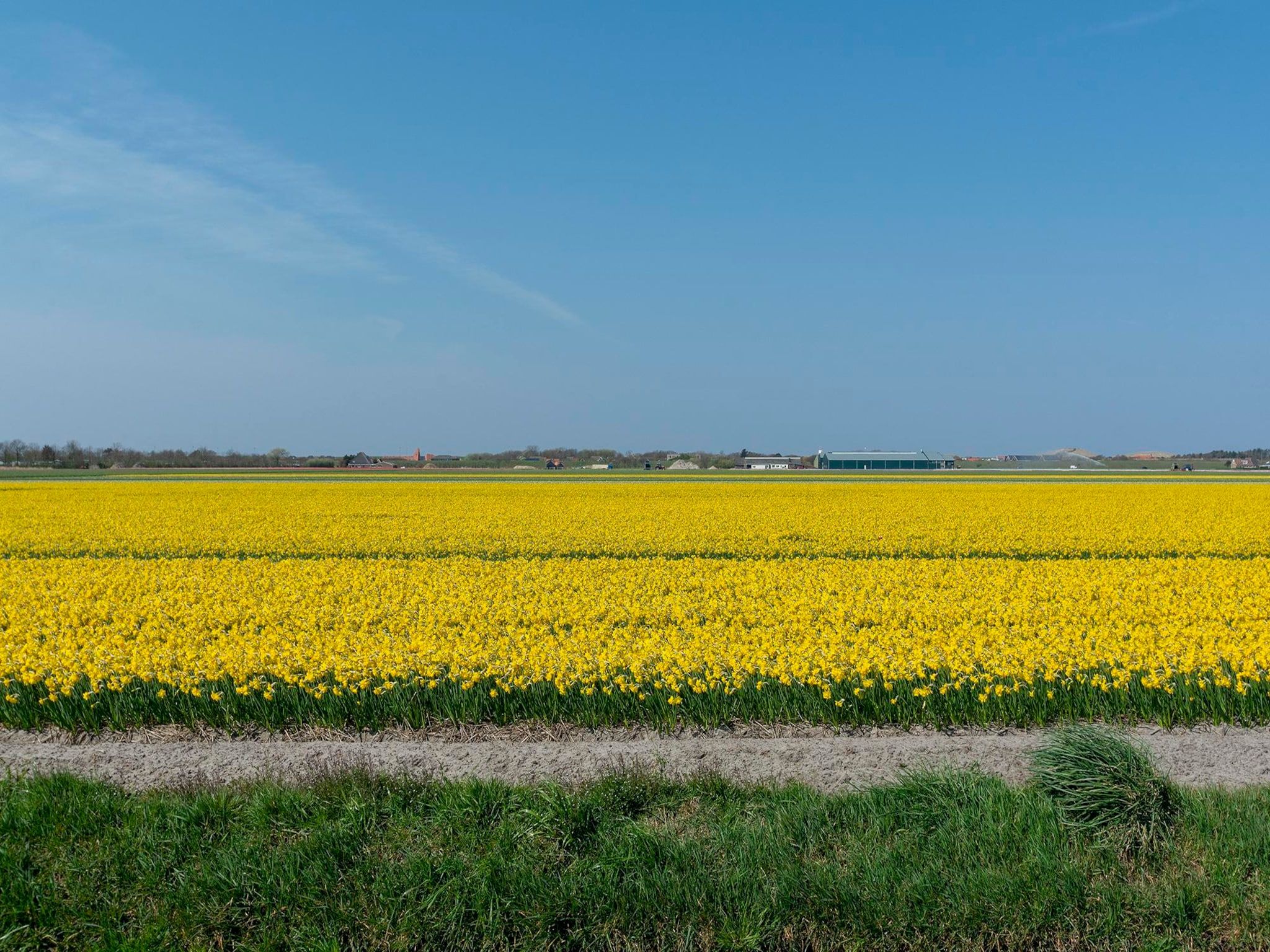 De omgeving van Résidence Juliana 77 in Julianadorp aan Zee