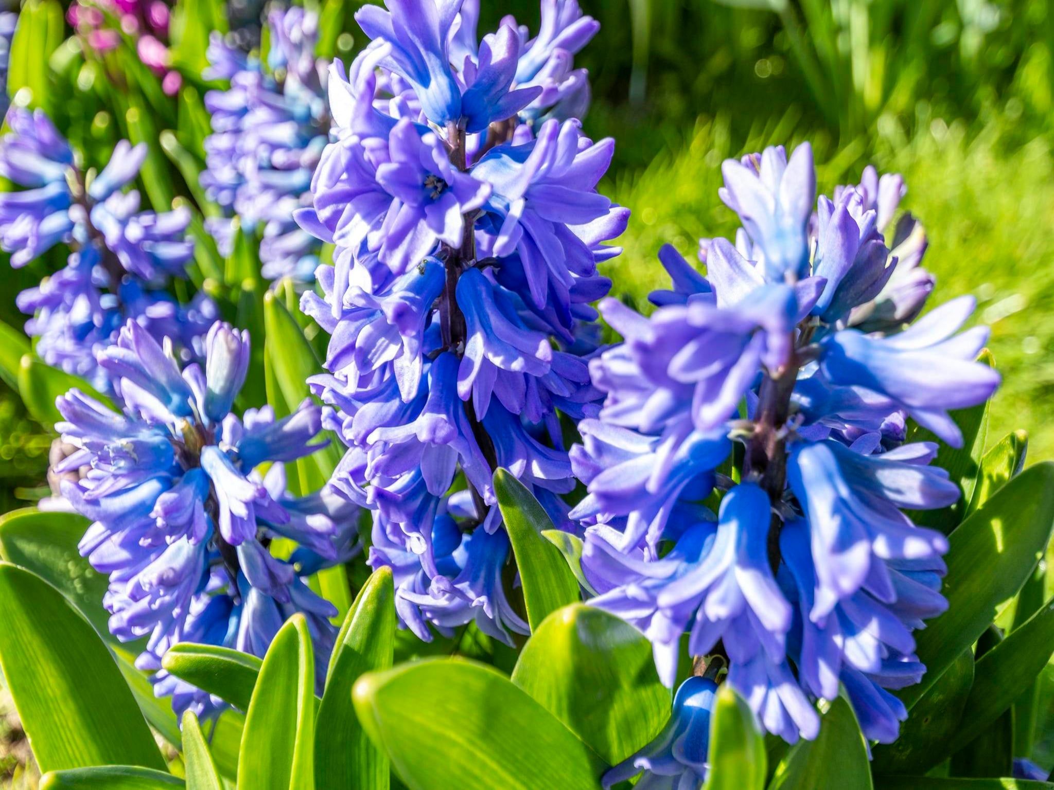 Sfeerbeeld van Sandepark 165 in Groote Keeten