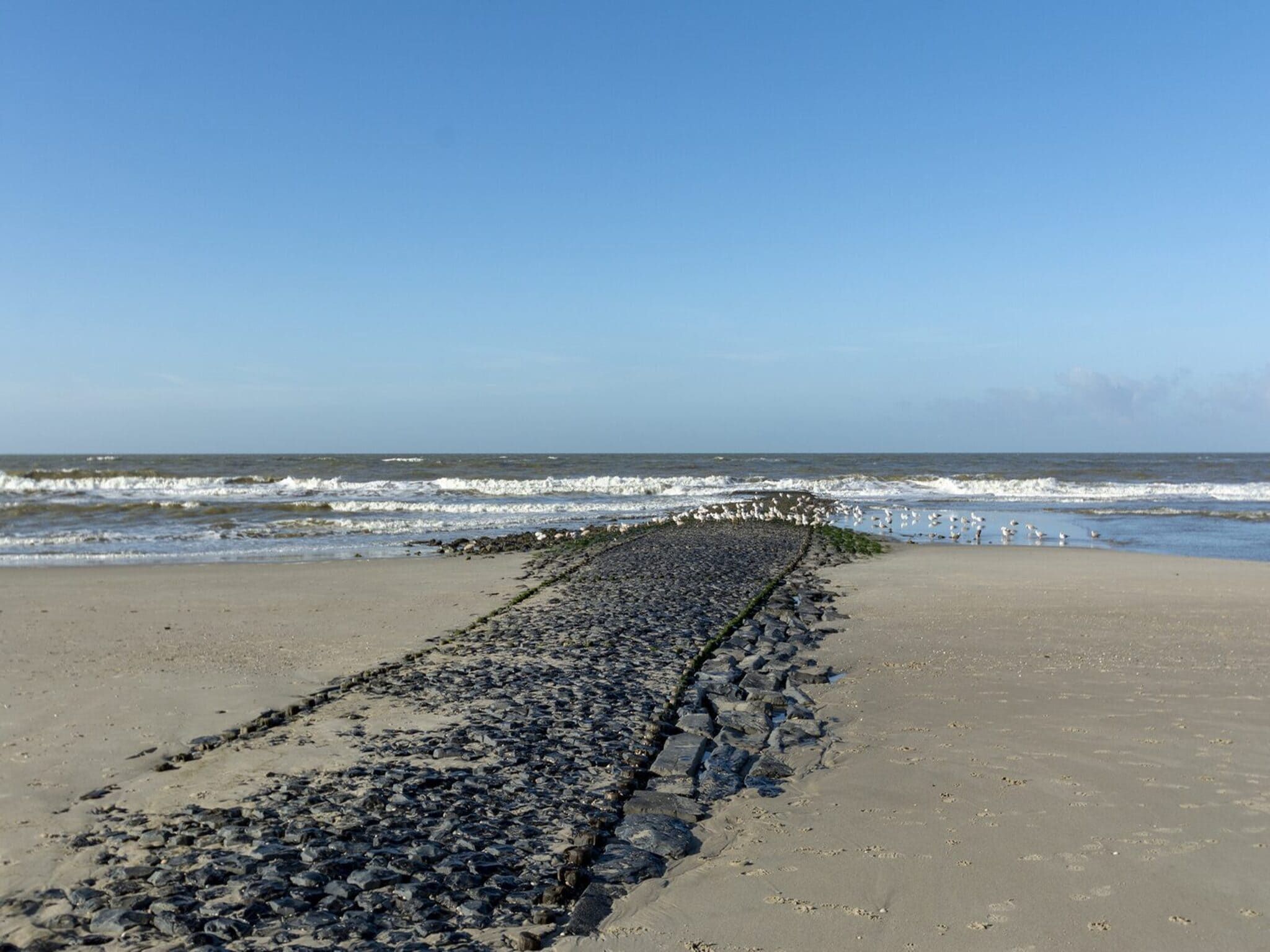 De omgeving van Suite Uitwaayer in Sint Maartensvlotbrug