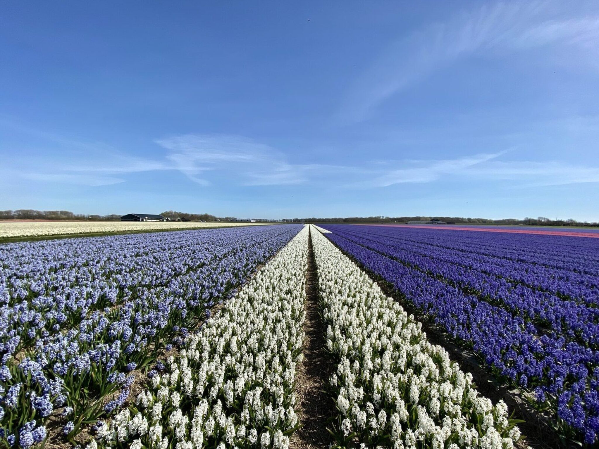 De omgeving van Suite Uitwaayer in Sint Maartensvlotbrug
