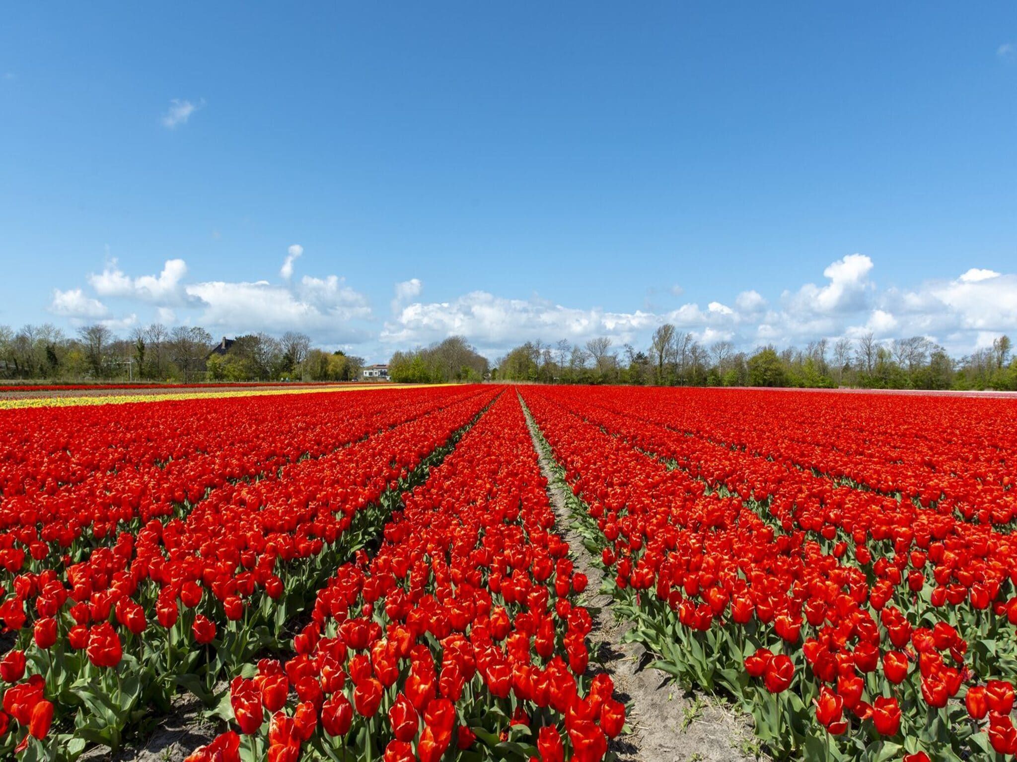 De omgeving van Suite Uitwaayer in Sint Maartensvlotbrug