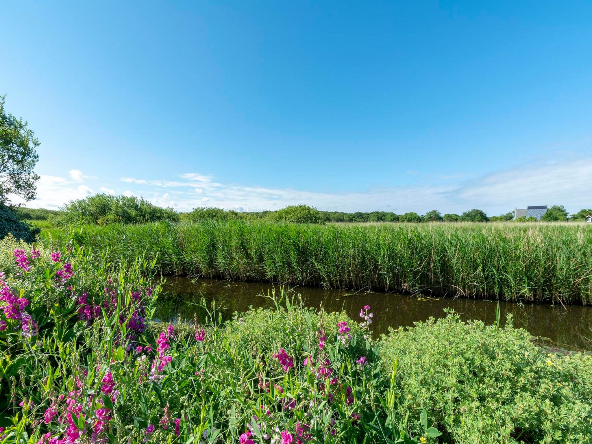 De tuin van De Buitenplaats 16 in Callantsoog