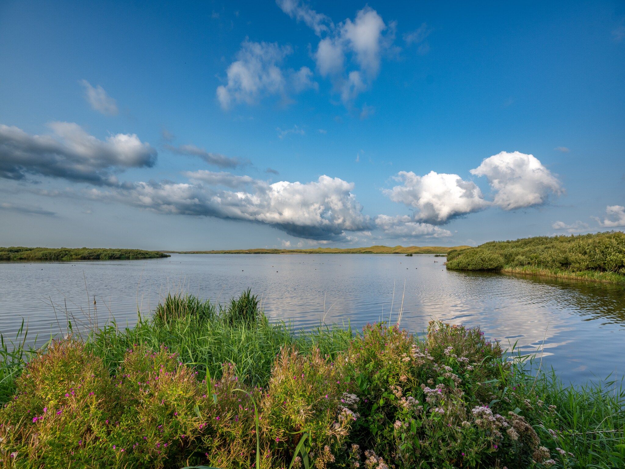 De omgeving van Tipitent de Jutter in Callantsoog