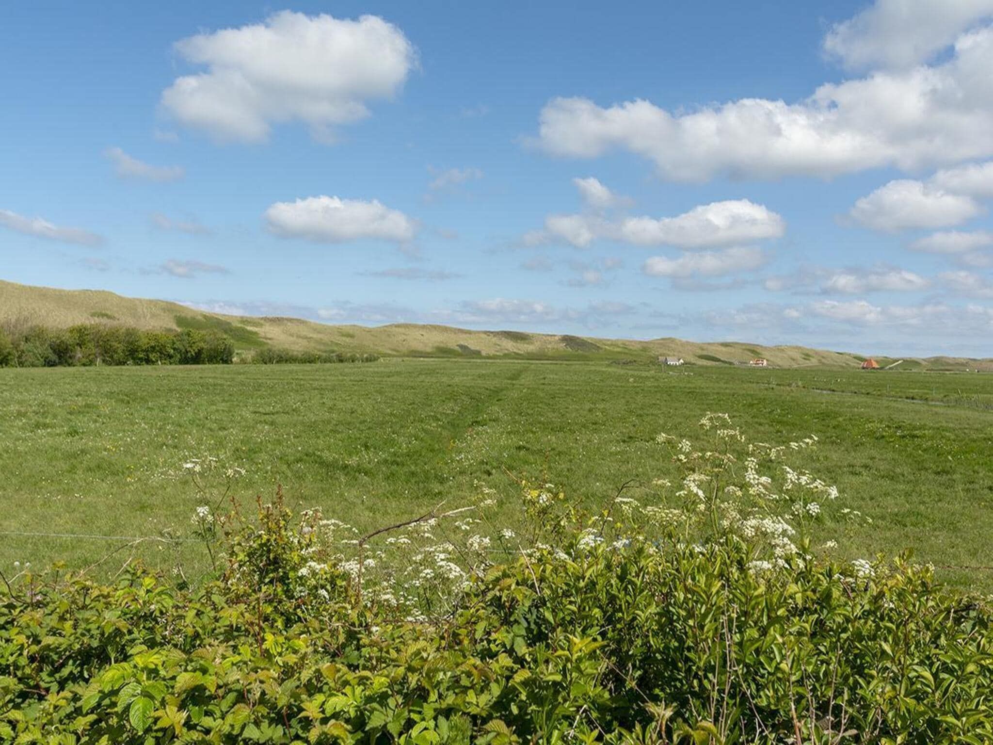 De tuin van Garnekuul 26 in Callantsoog