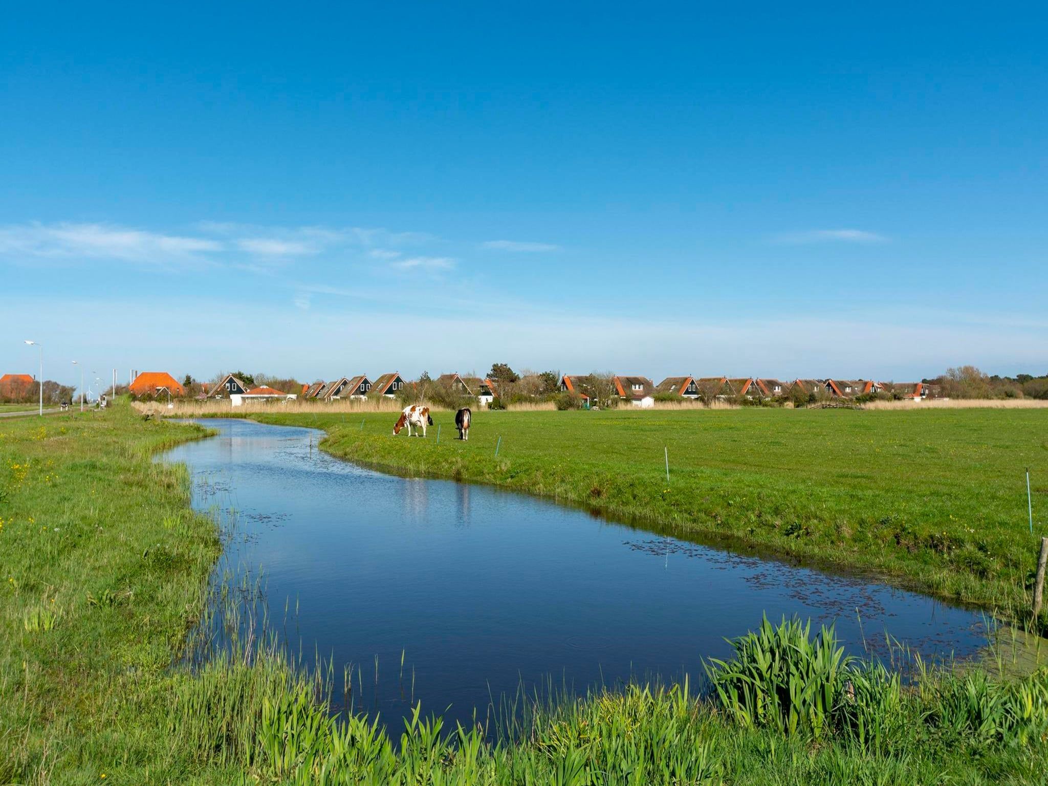 De omgeving van De Buitenplaats 72 in Callantsoog