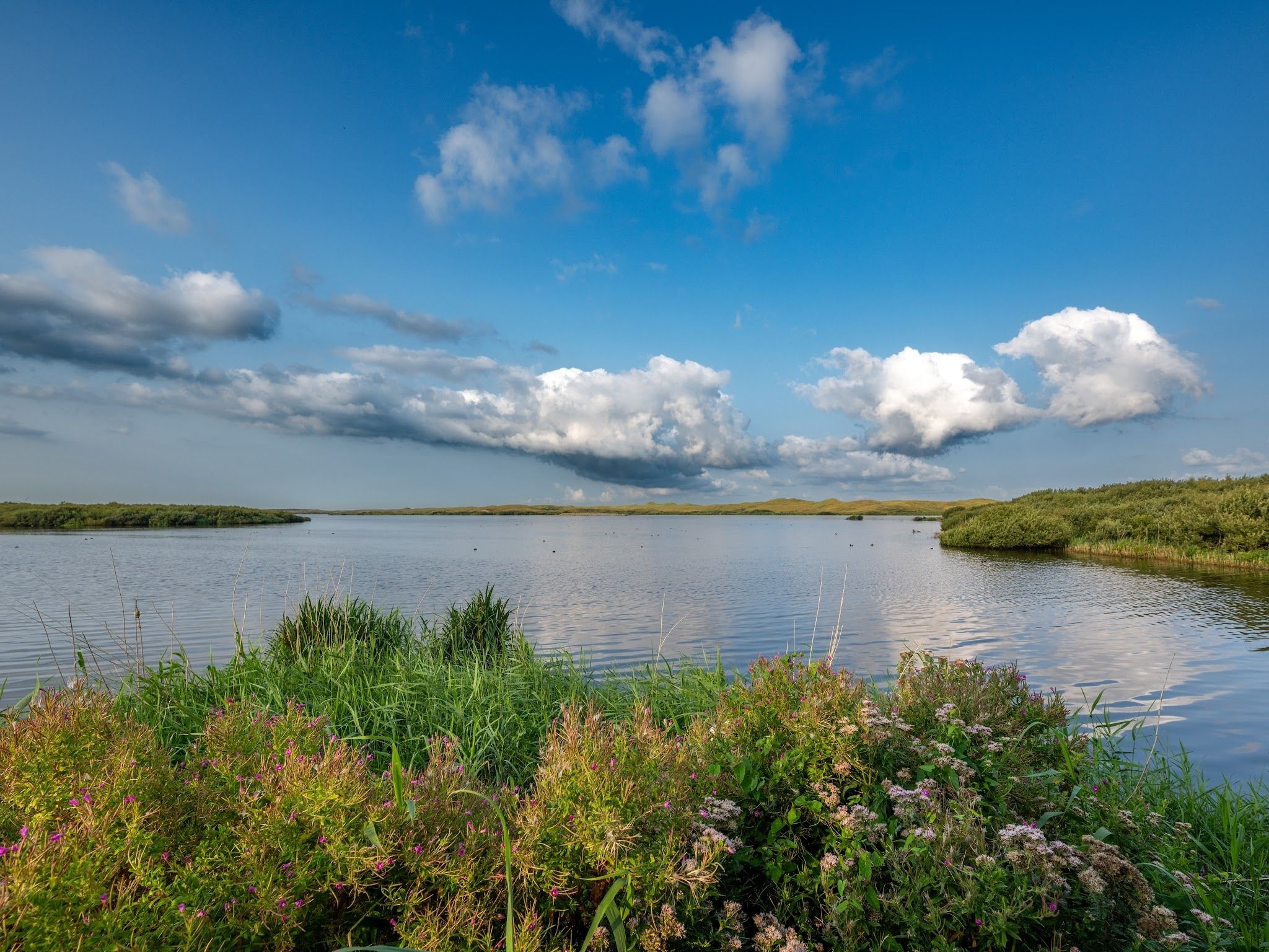 De omgeving van Vossehoeck 1 in Callantsoog