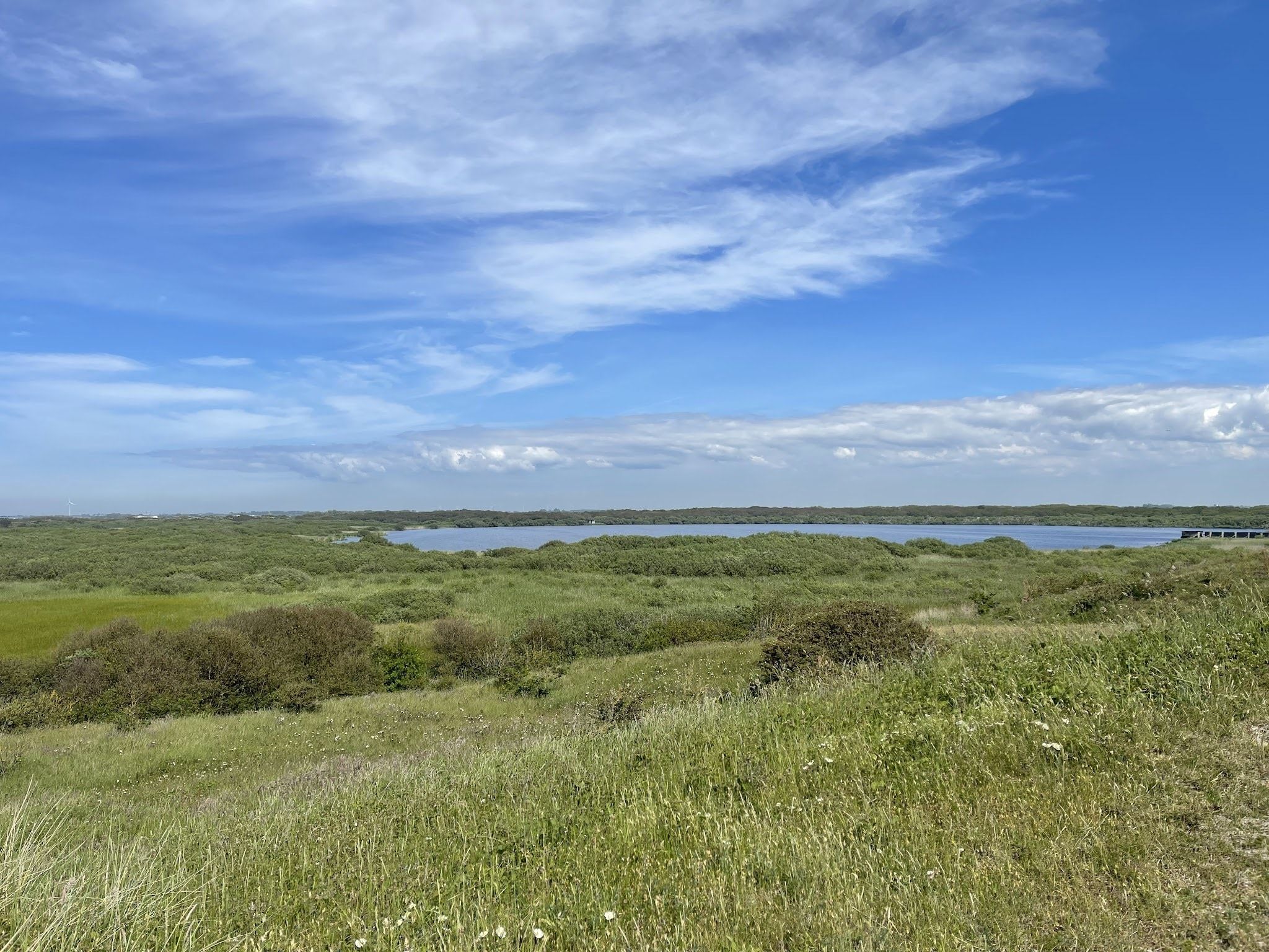 De omgeving van Vossehoeck 1 in Callantsoog