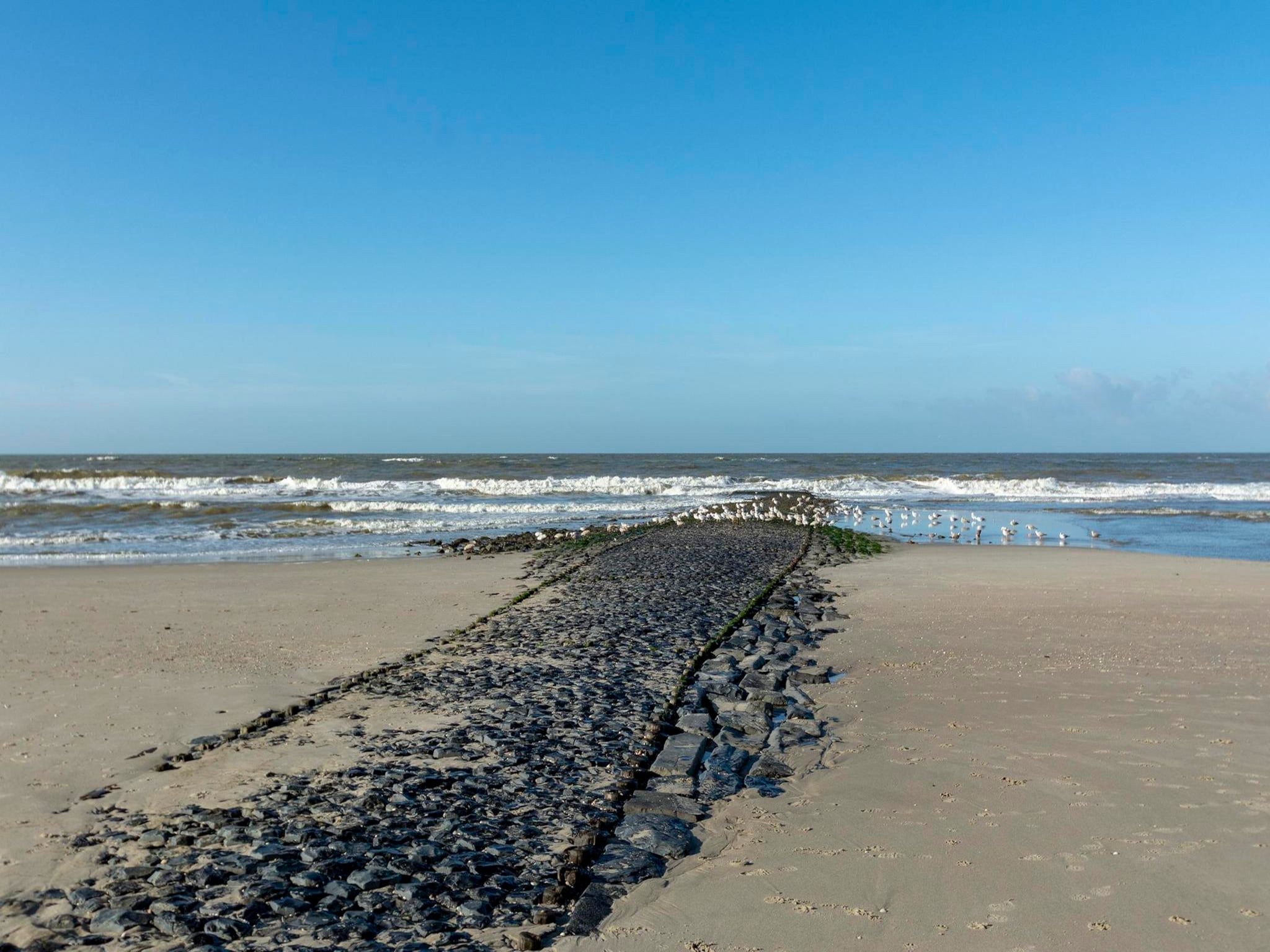 De omgeving van Wijde Blick 203 in Callantsoog