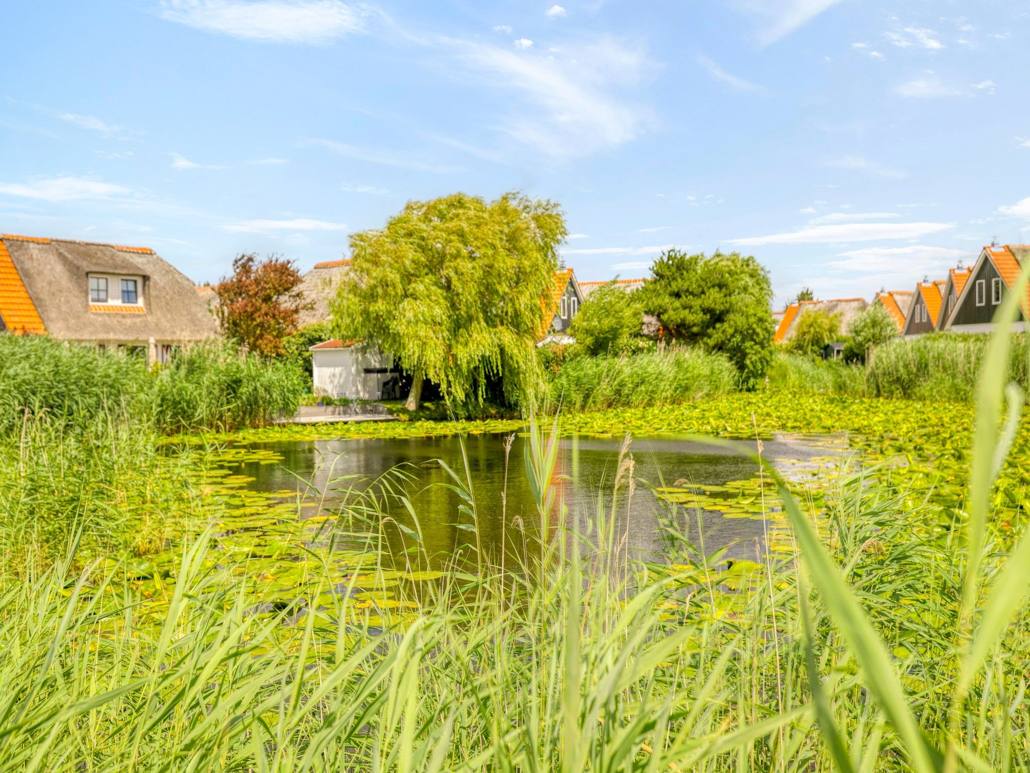 De Buitenplaats 42 in Callantsoog - Foto 60 van 62