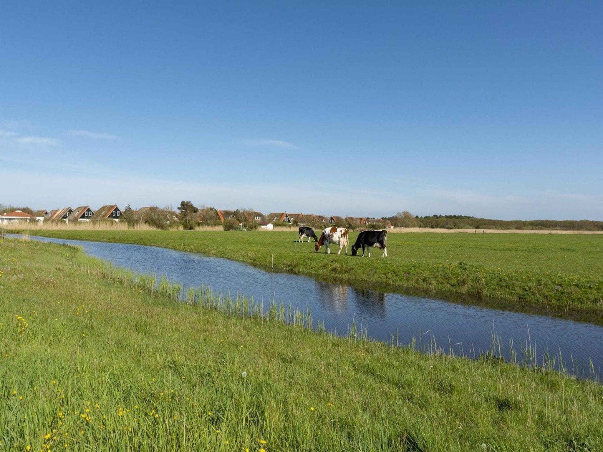 De omgeving van De Buitenplaats 42 in Callantsoog