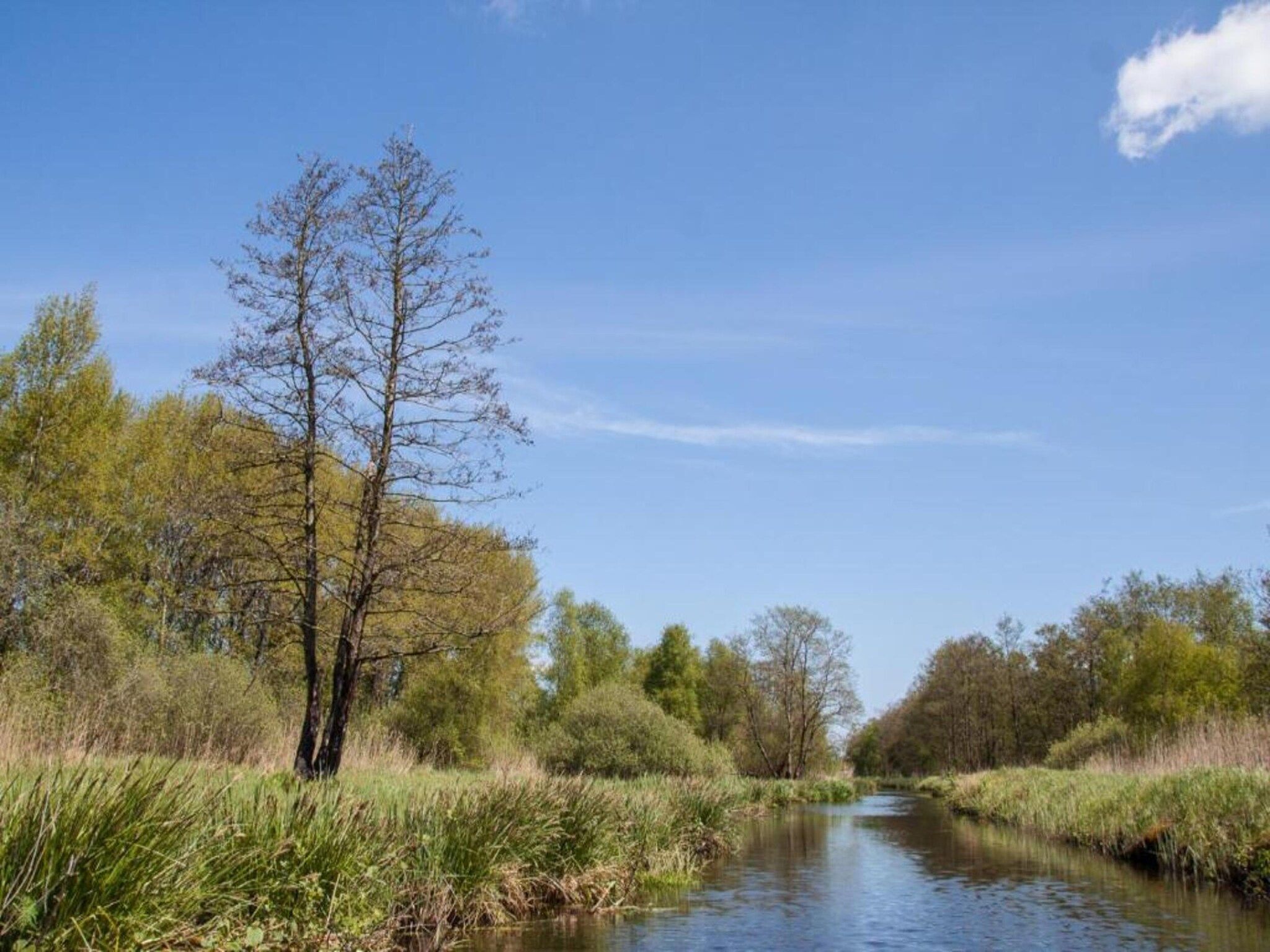 Docklodge 12 in Delfstrahuizen - Foto 36 van 40