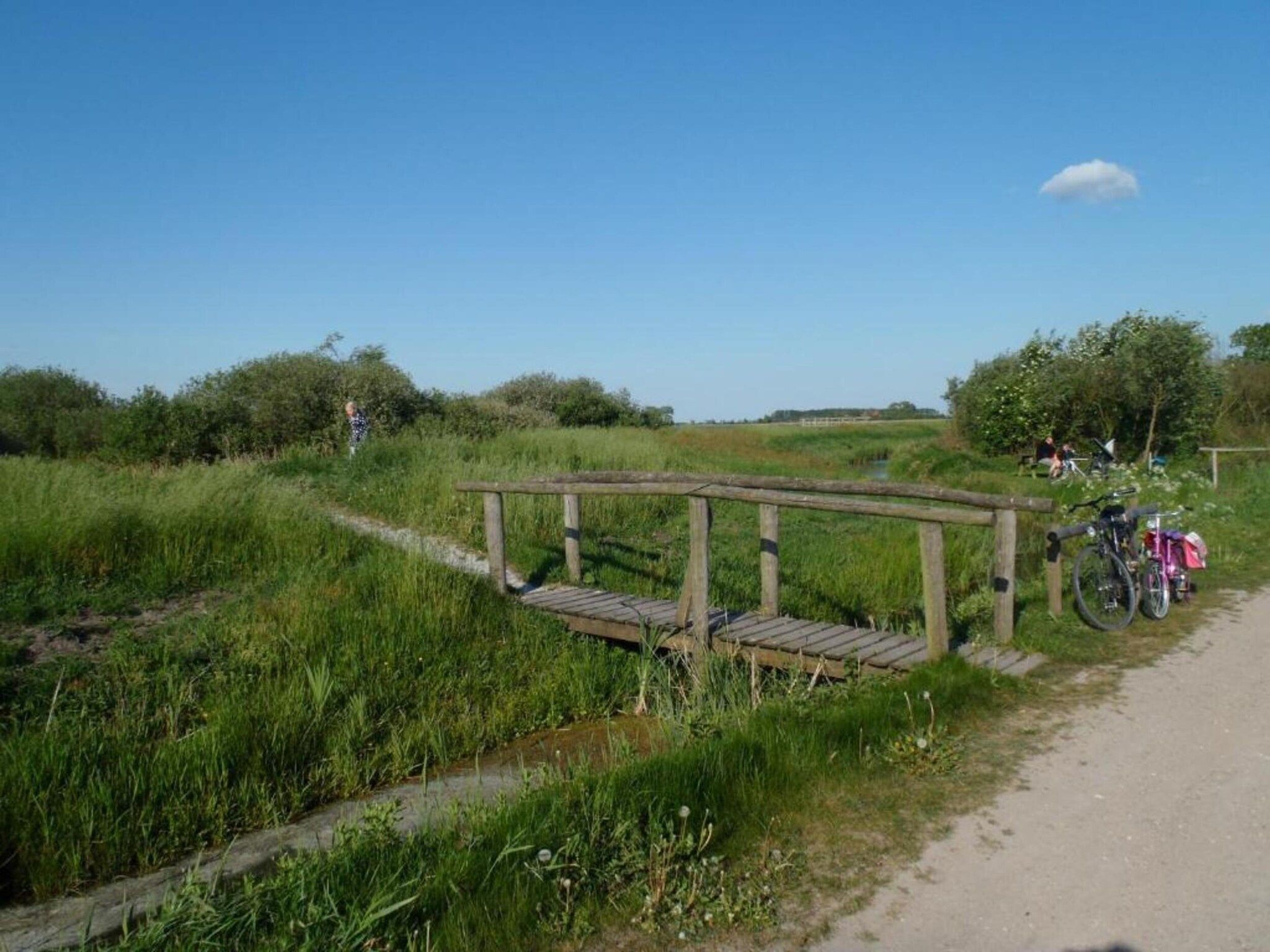 De omgeving van 4-persoons bungalow Sondel 16 in Sondel