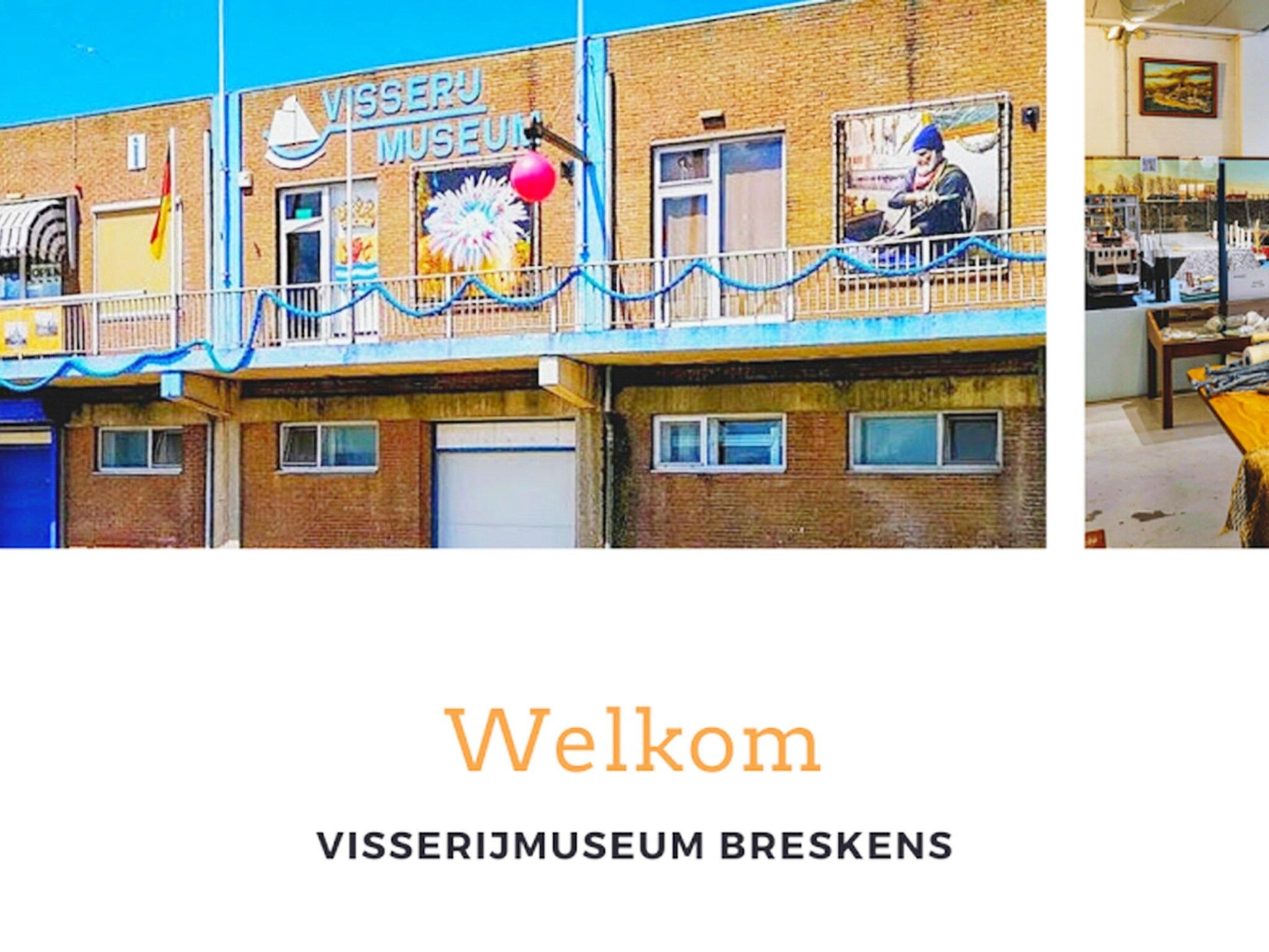 Schoneveld 163 Duinroos Breskens in Breskens - Foto 14 van 19