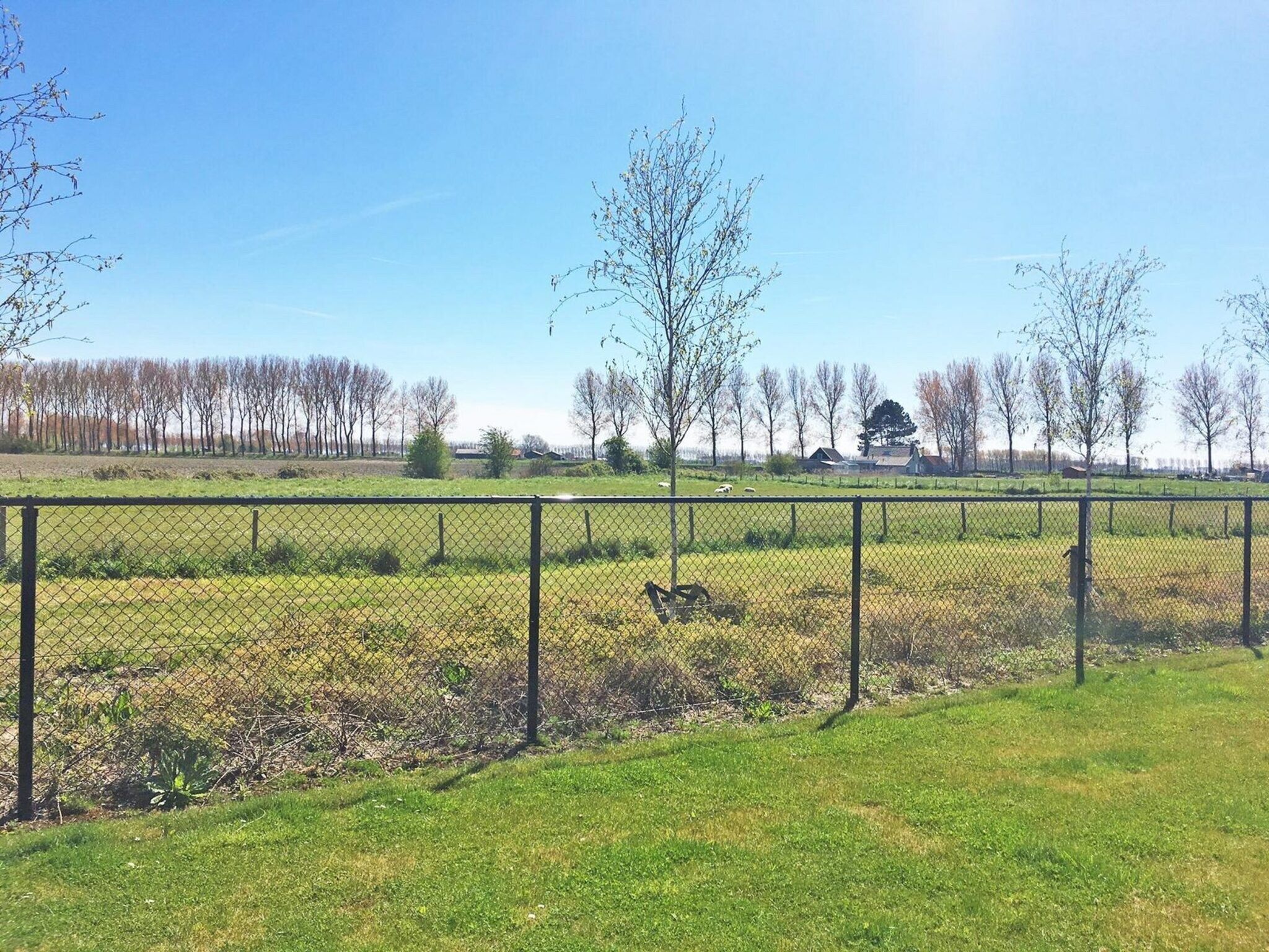 De omgeving van Landgoed de Lente 12 Krokus Breskens in Breskens