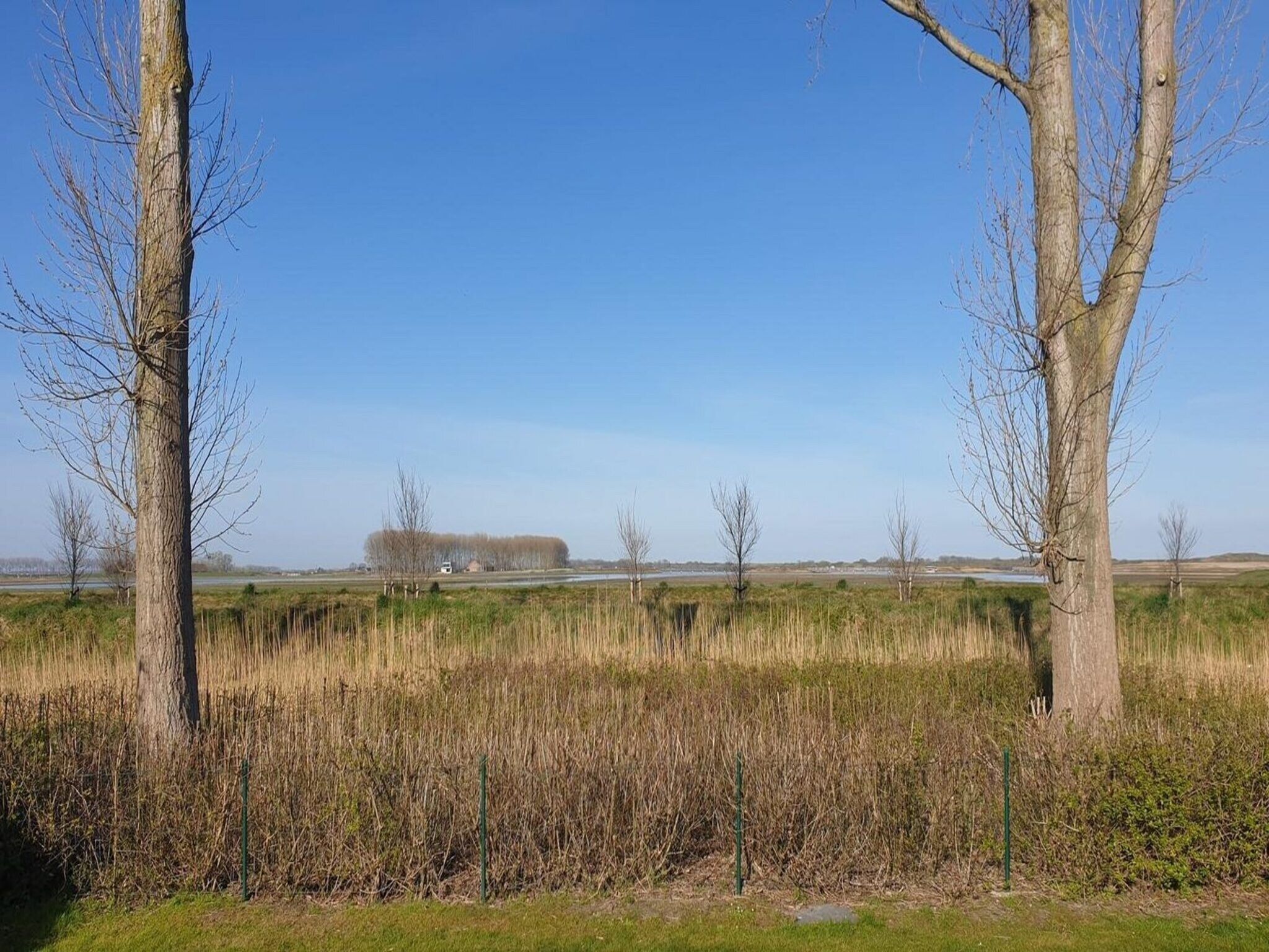 De omgeving van Schoneveld 176 Zeemeeuw Breskens in Breskens