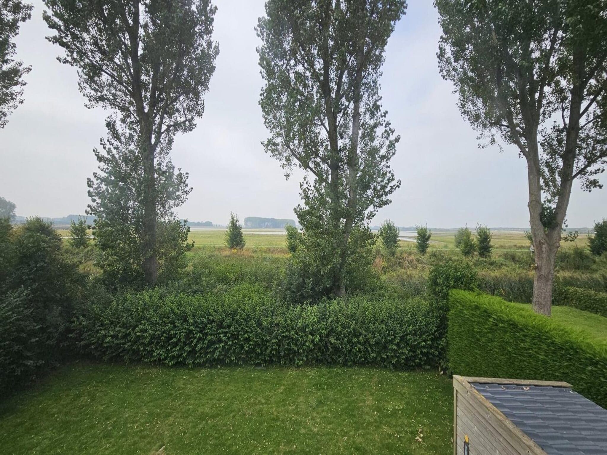 De omgeving van Schoneveld 176 Zeemeeuw Breskens in Breskens