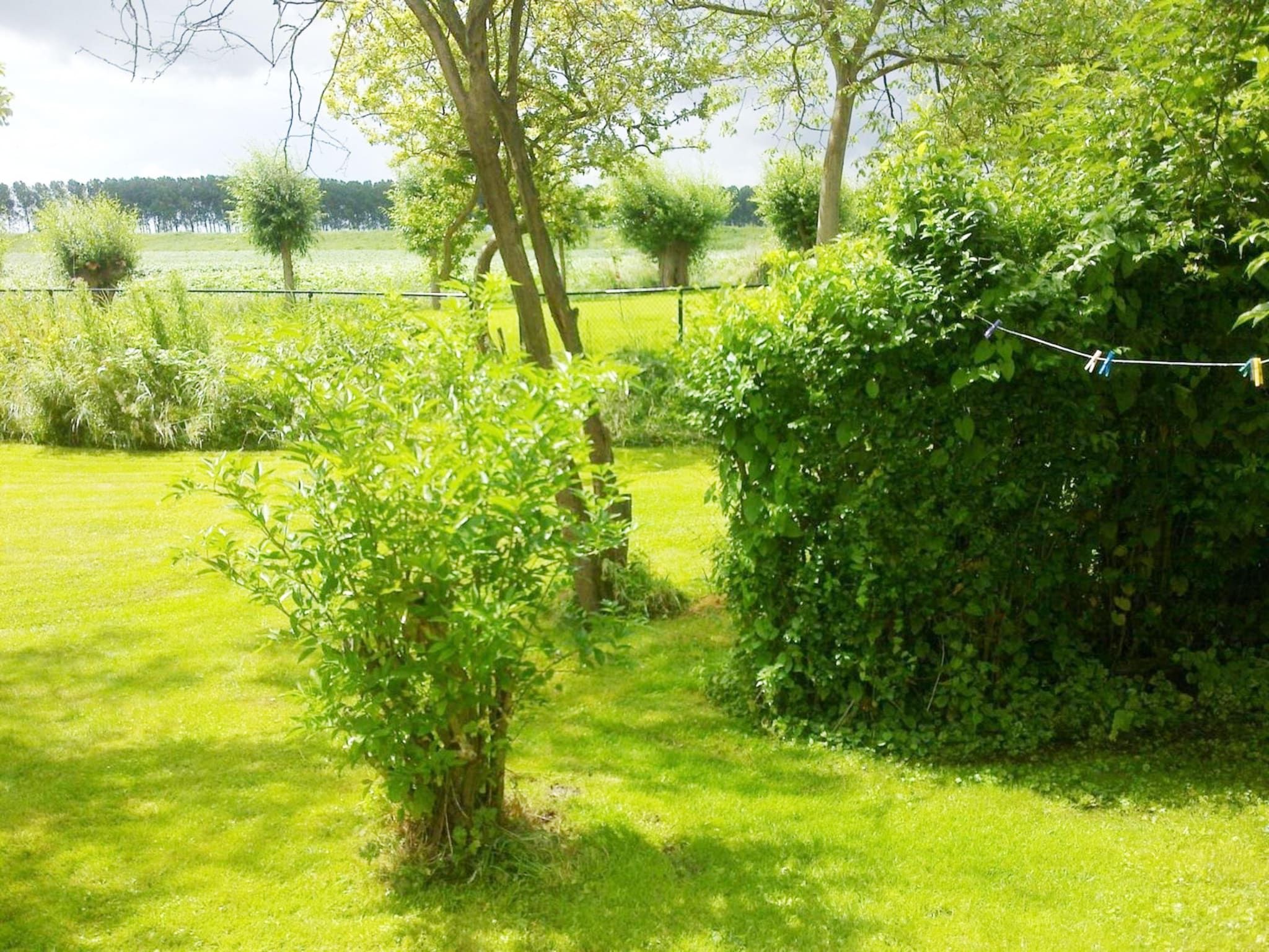 De tuin van Nummer Één 26a Hoofdplaat in Hoofdplaat