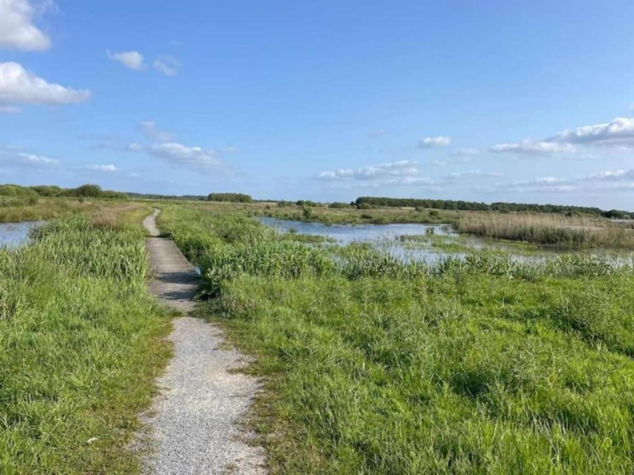 De omgeving van Docklodge 46 in Delfstrahuizen
