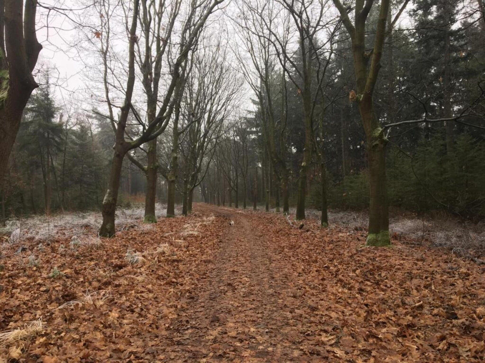 Dorpswoning Op Niveau 4 in Leende - Foto 32 van 38