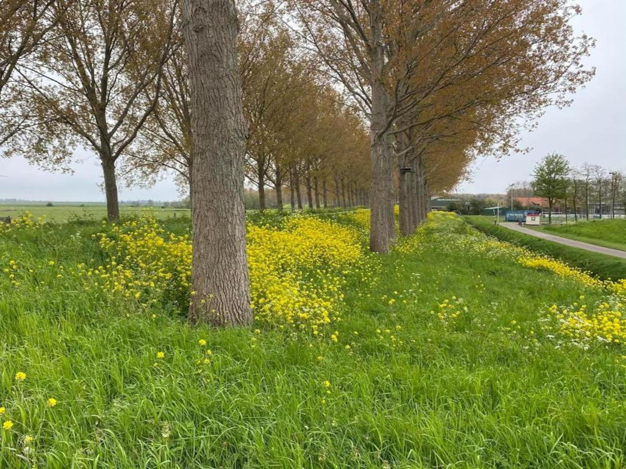 Villapark Zuytland Buiten 329 in Simonshaven - Foto 16 van 38