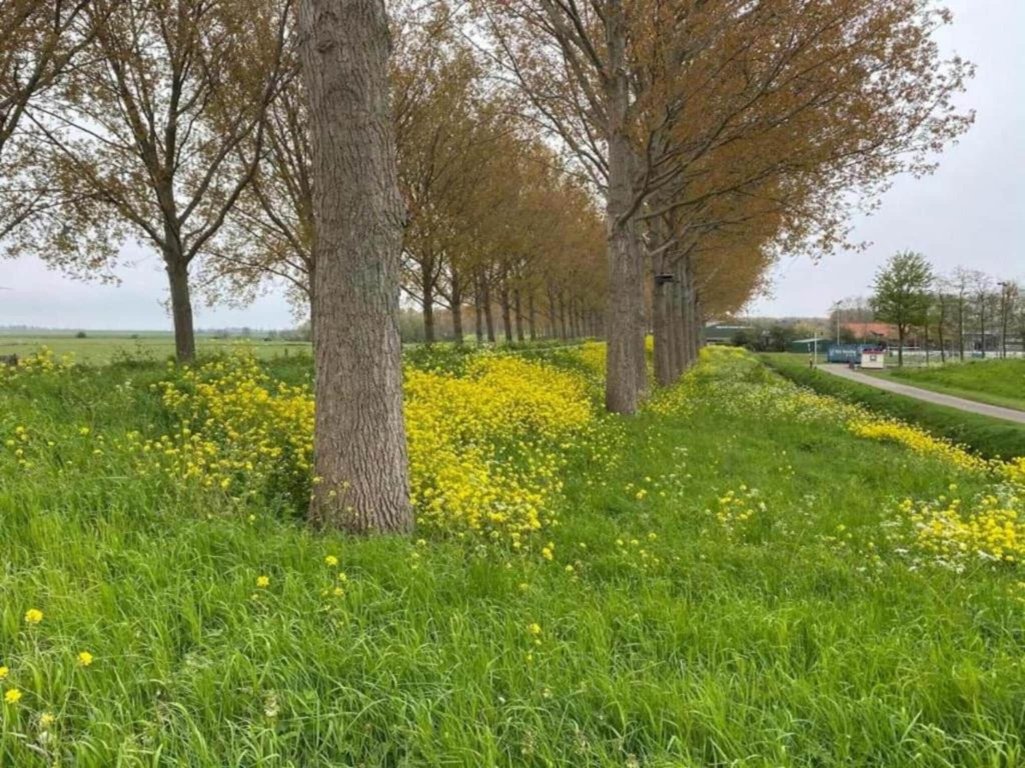 Standaard 308 in Simonshaven - Foto 18 van 39