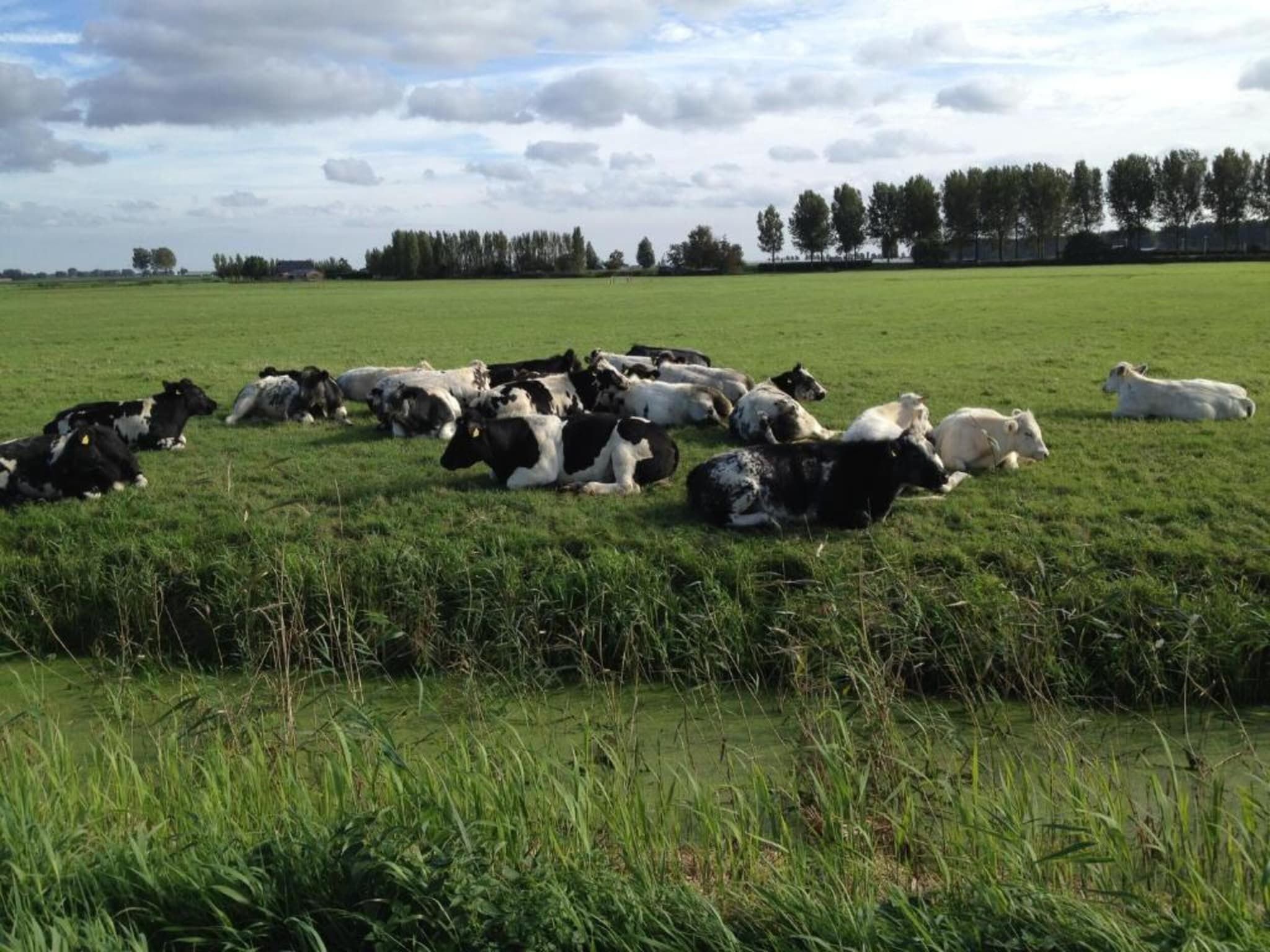 Villapark Zuytland Buiten 224 in Simonshaven - Foto 33 van 38