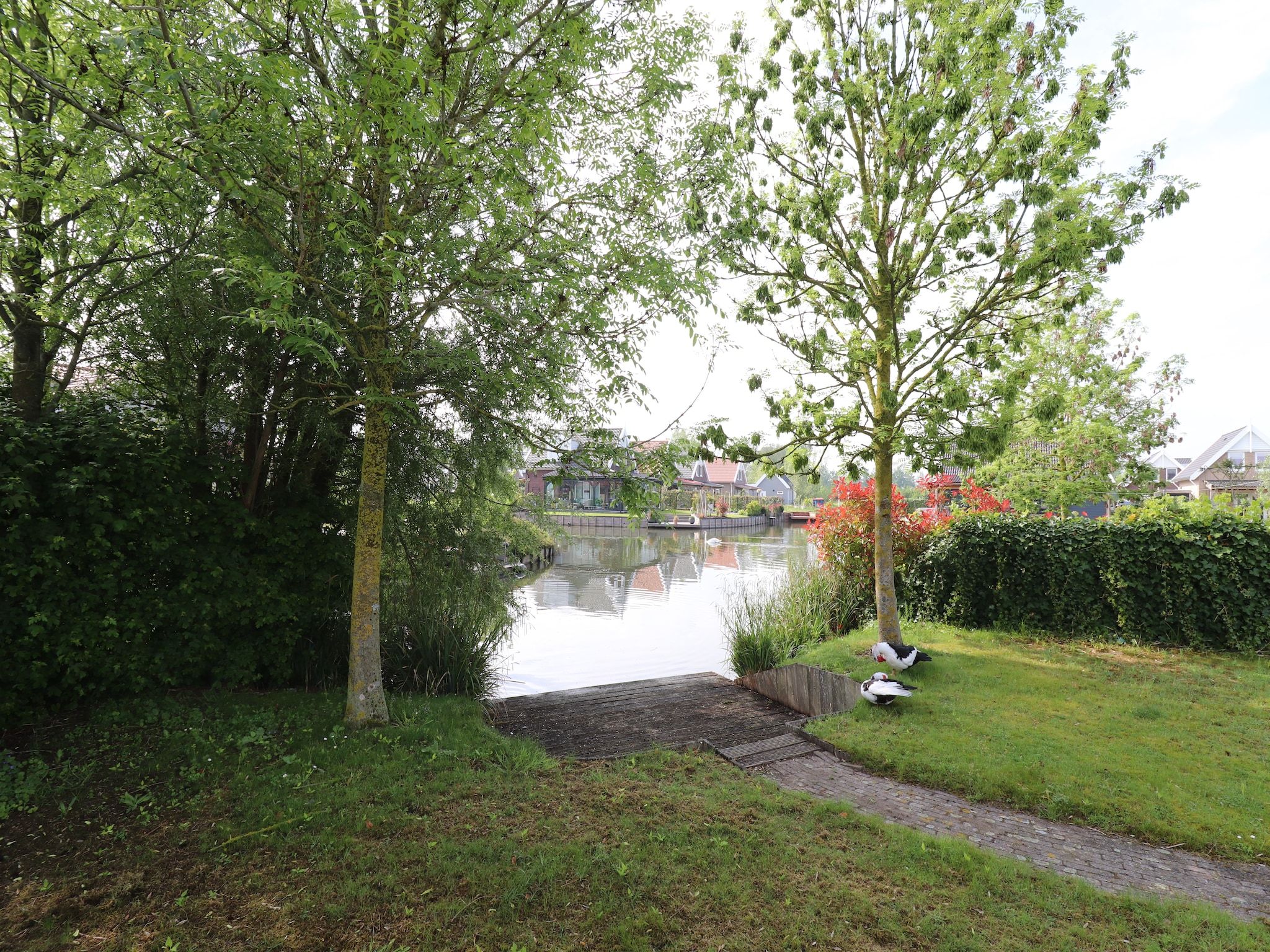 De tuin van Villapark Zuytland Buiten 224 in Simonshaven