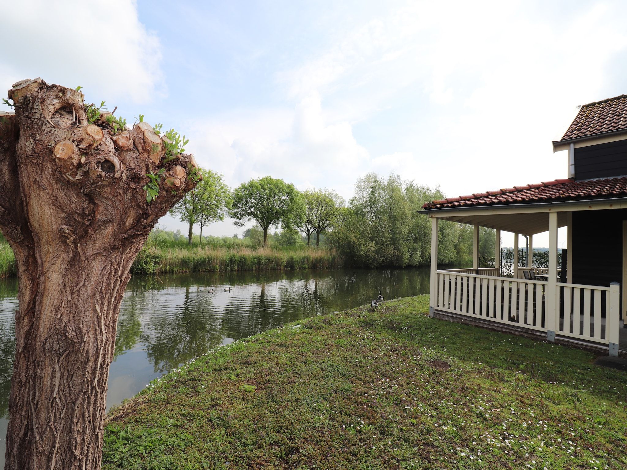 De tuin van Standaard 337 in Simonshaven