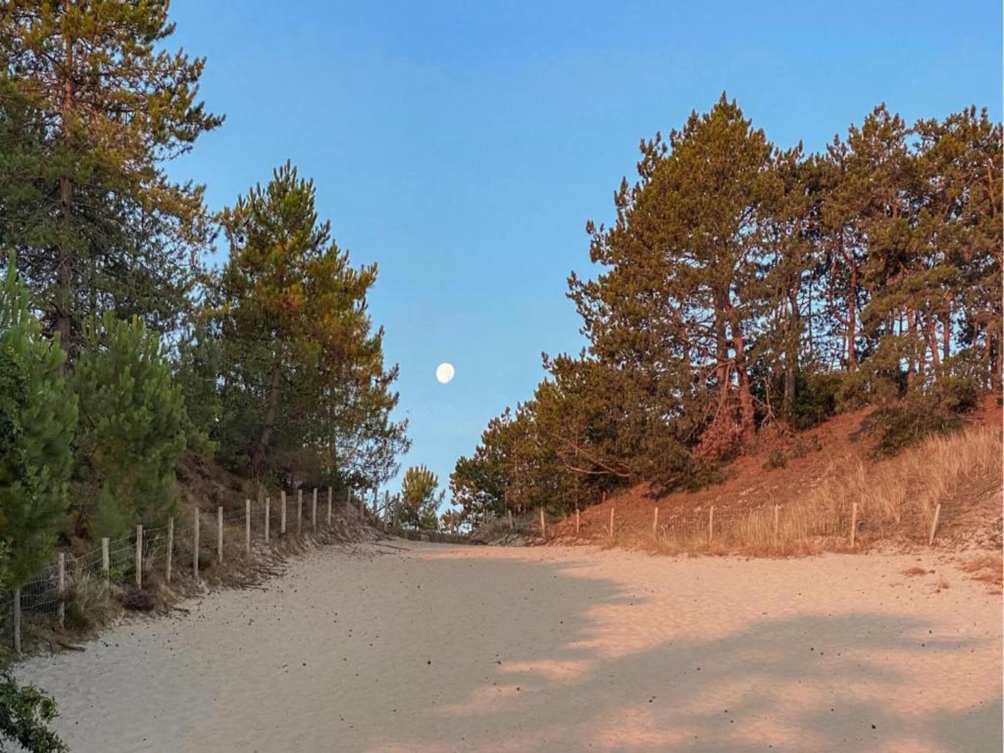 De Veldwachter in 't Zand - Foto 16 van 40