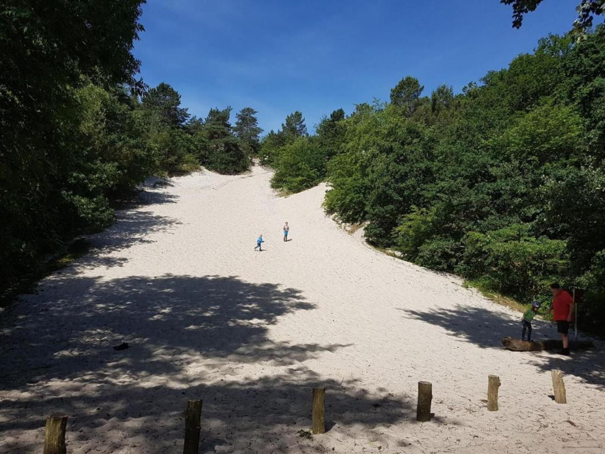 De Veldwachter in 't Zand - Foto 14 van 40