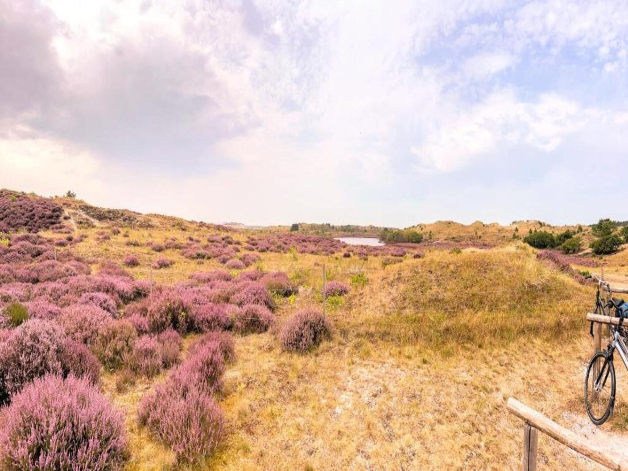 De Veldwachter in 't Zand - Foto 27 van 40