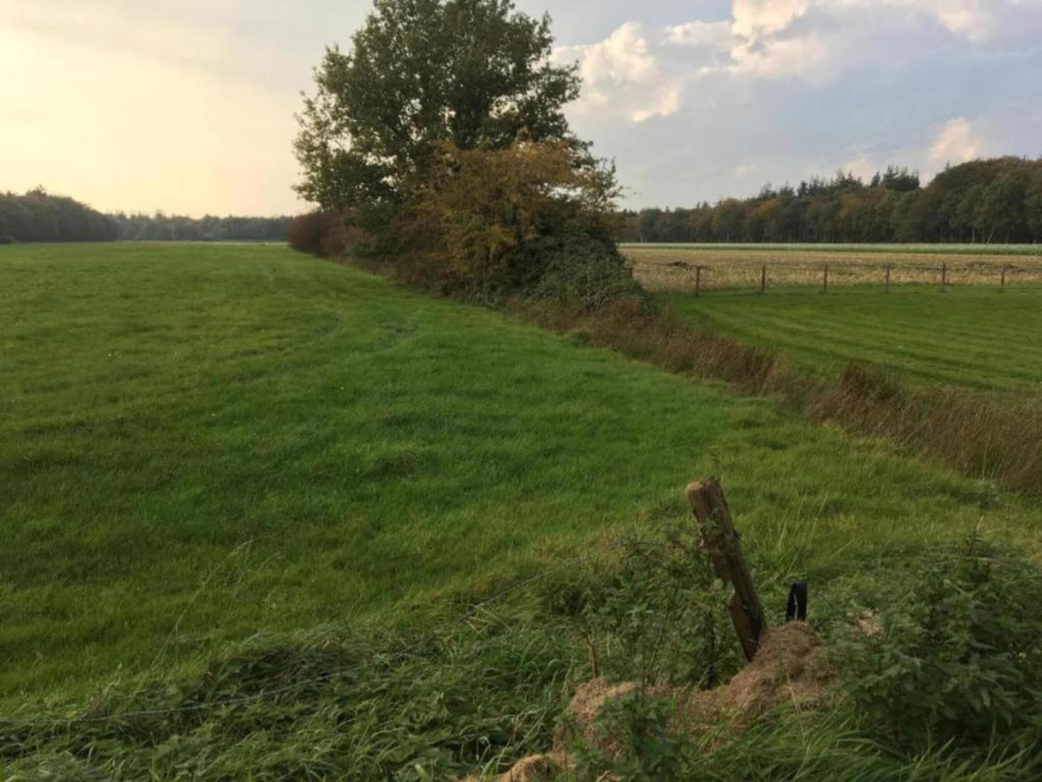 Boerderijchalet in Sint Nicolaasga - Foto 21 van 40