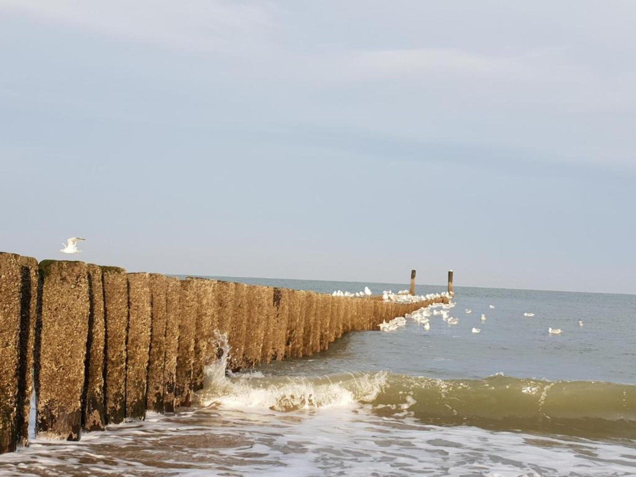 Vakantiehuis voor 6 personen  Hoge Weide 63 Oostkapelle  Dicht bij strand in Oostkapelle - Foto 36 van 42