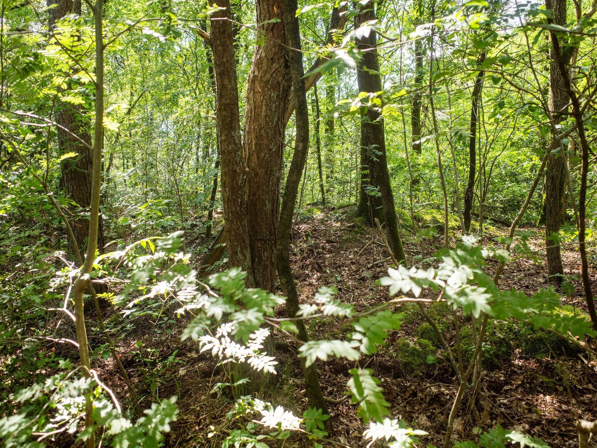 De omgeving van De Parel in Hattemerbroek