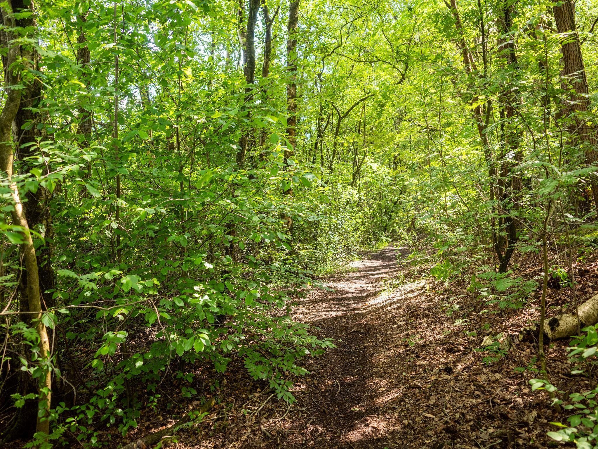 De omgeving van De Parel in Hattemerbroek