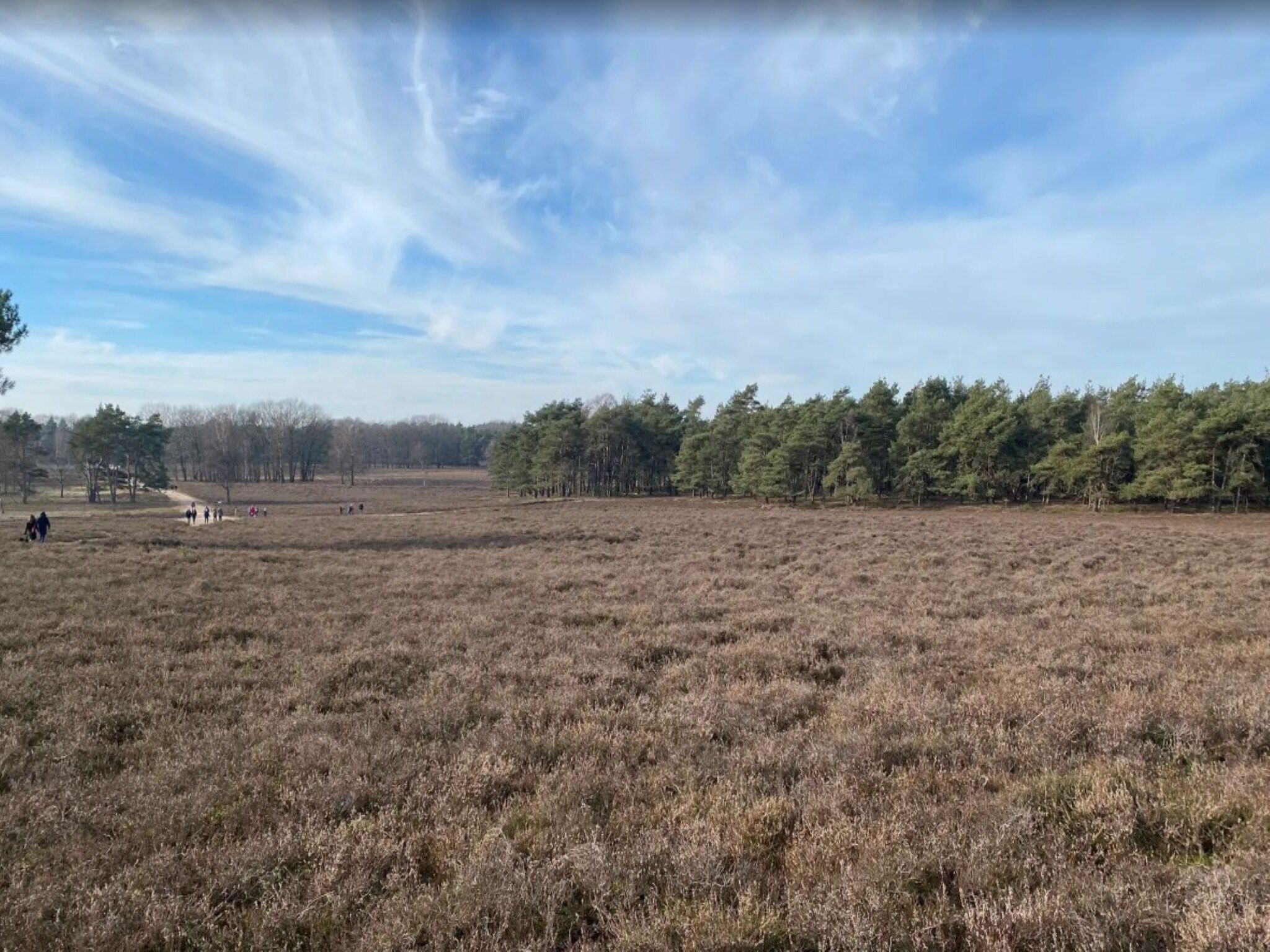 De Parel in Hattemerbroek - Foto 34 van 36