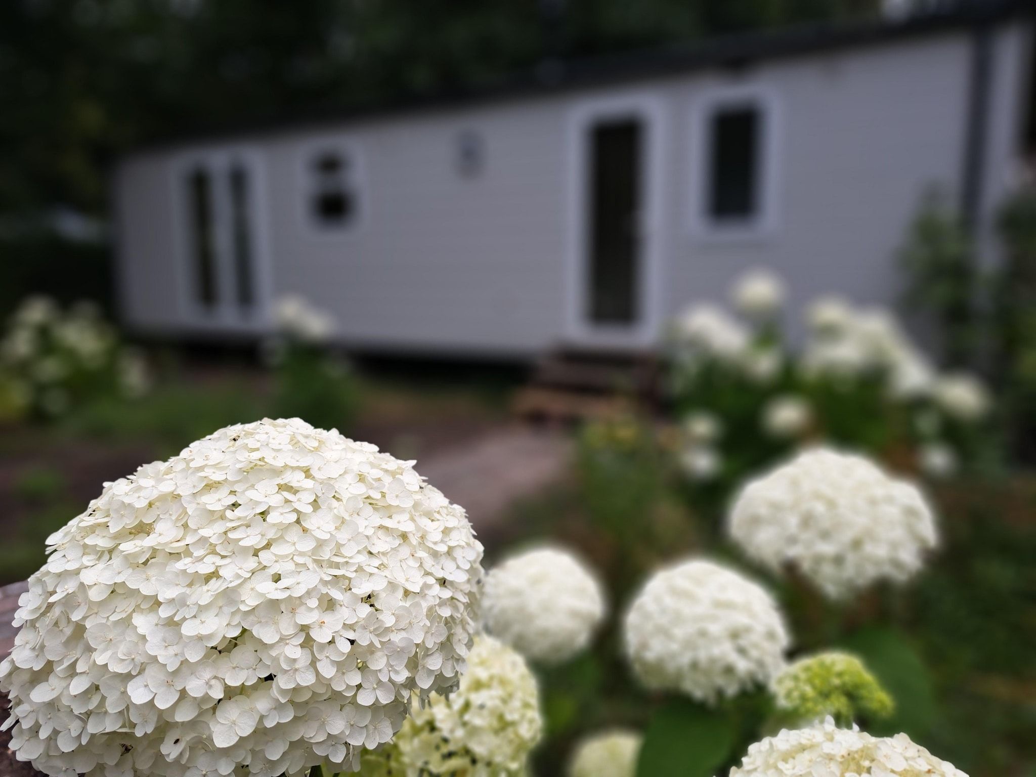 De tuin van De Parel in Hattemerbroek