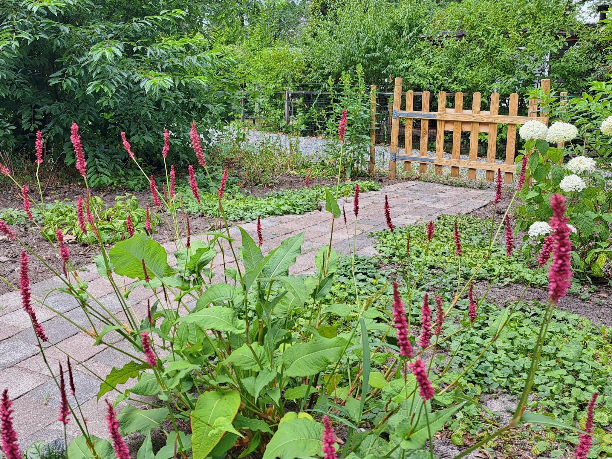 De tuin van De Parel in Hattemerbroek