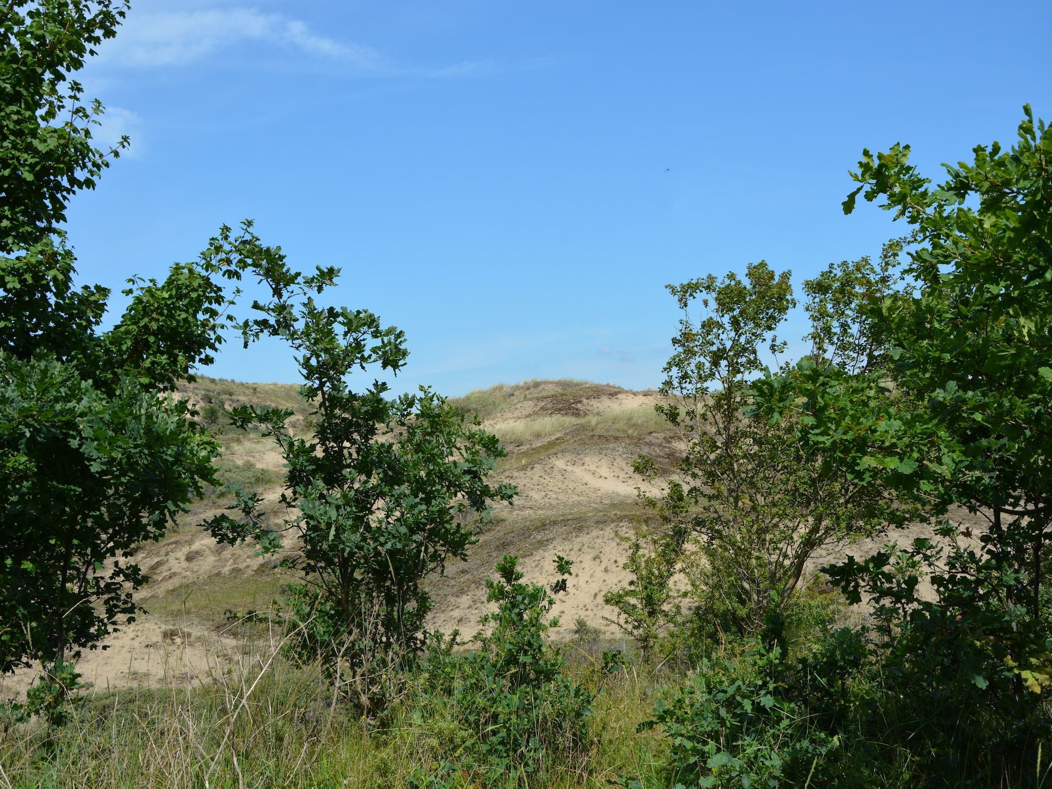 De omgeving van Constance in Noordwijkerhout