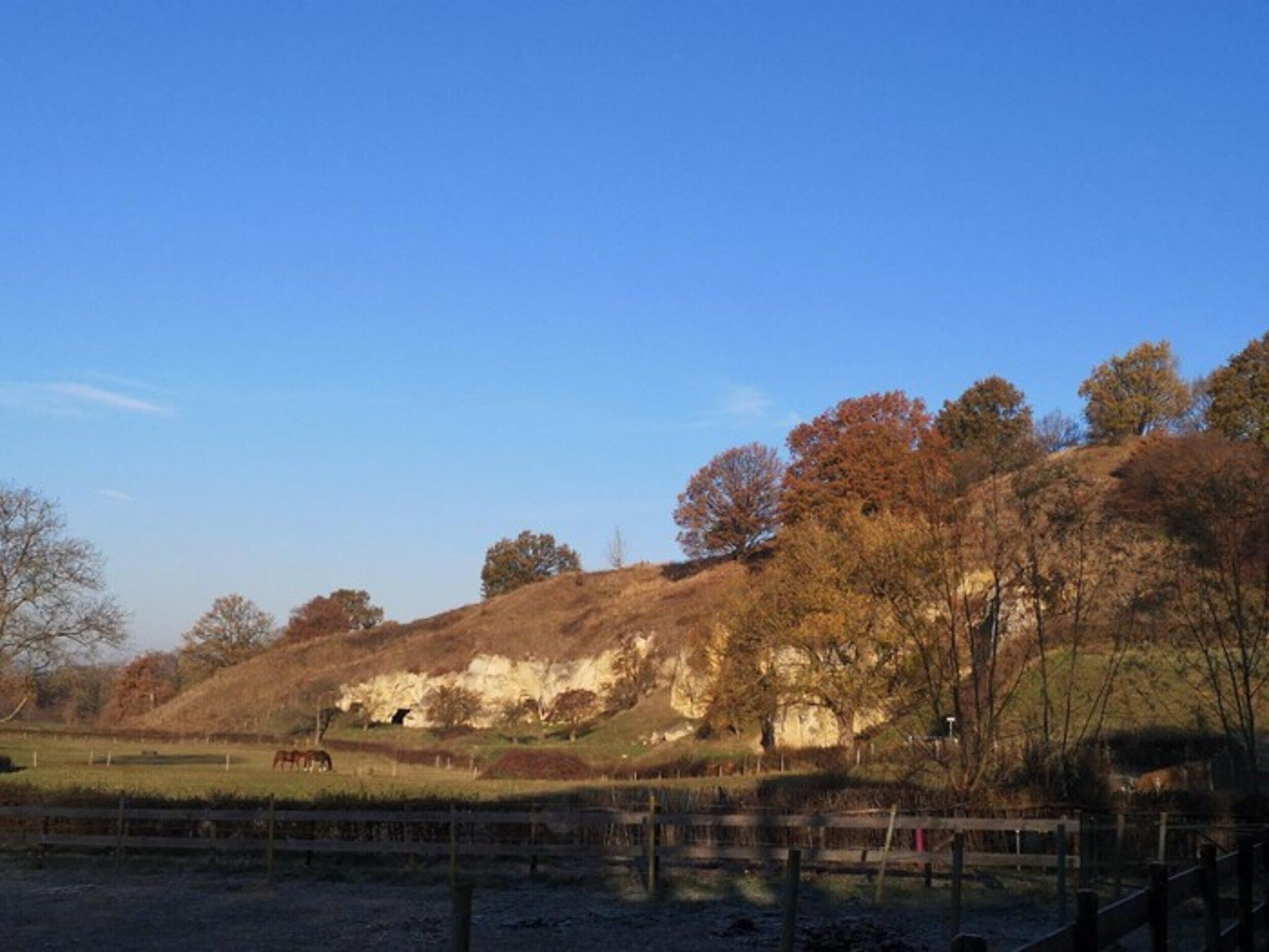 Schaelsbergerbosch Eco - Garden House & Sauna in Bemelen - Foto 24 van 40
