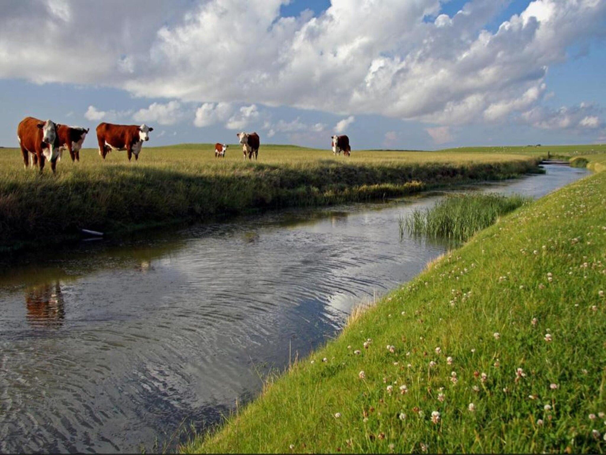 De omgeving van VT 149 in Tzummarum