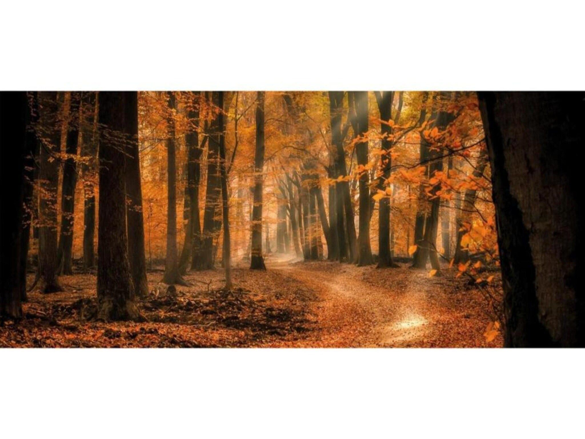 De omgeving van Heivlinder 4p in Ermelo