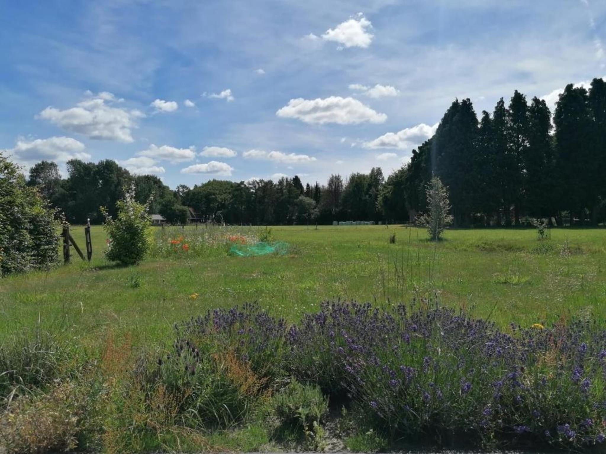 De omgeving van Heivlinder 4p in Ermelo