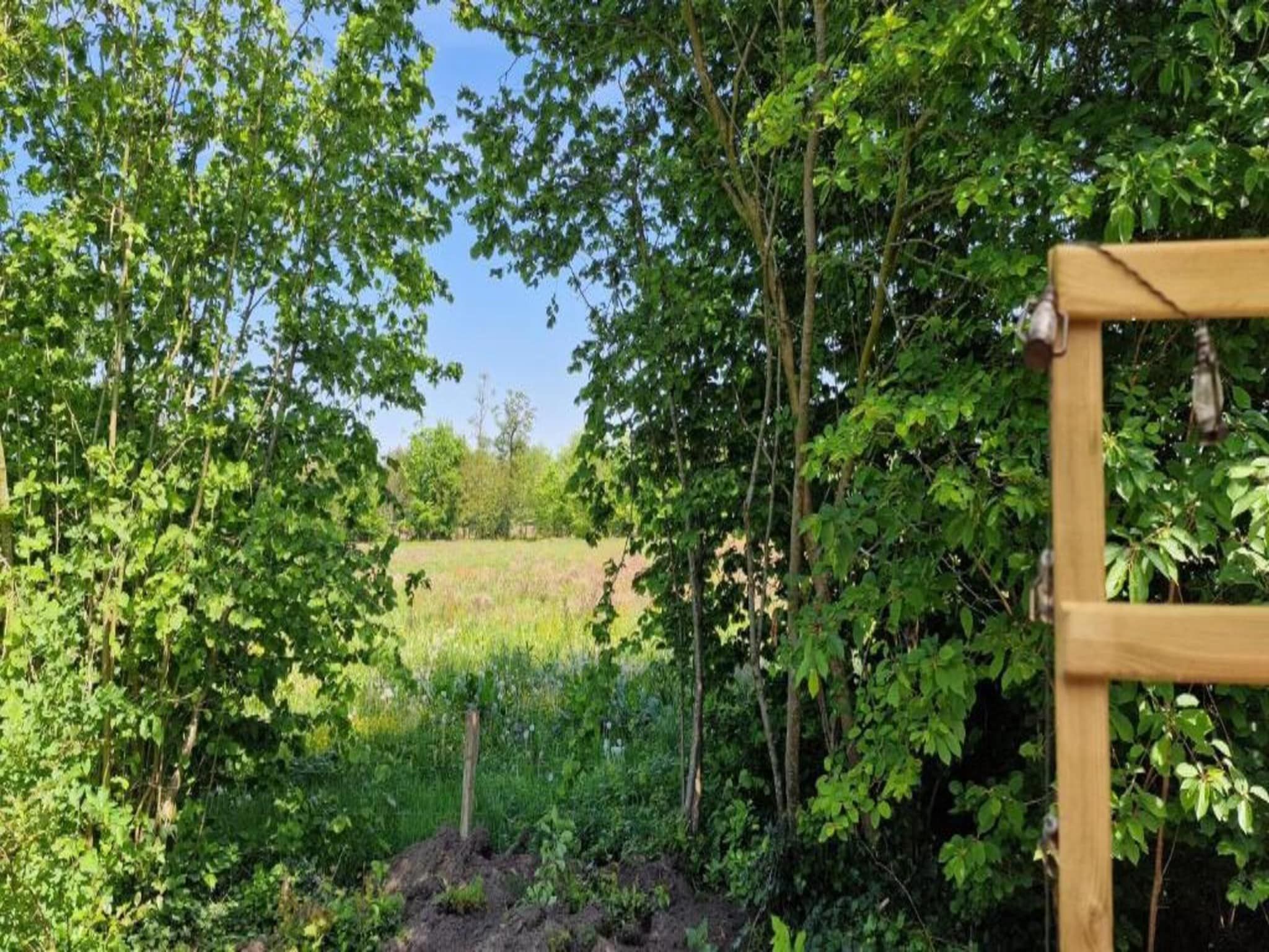 De omgeving van Heivlinder 4p in Ermelo