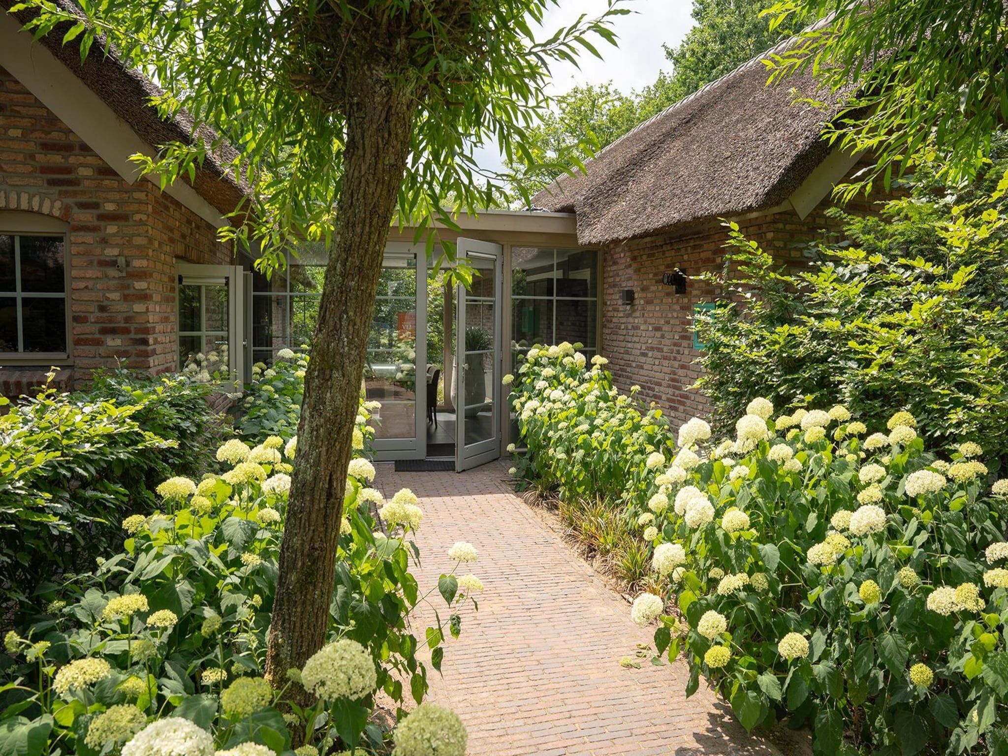 De tuin van Vlindervallei Studio 2p in Ermelo
