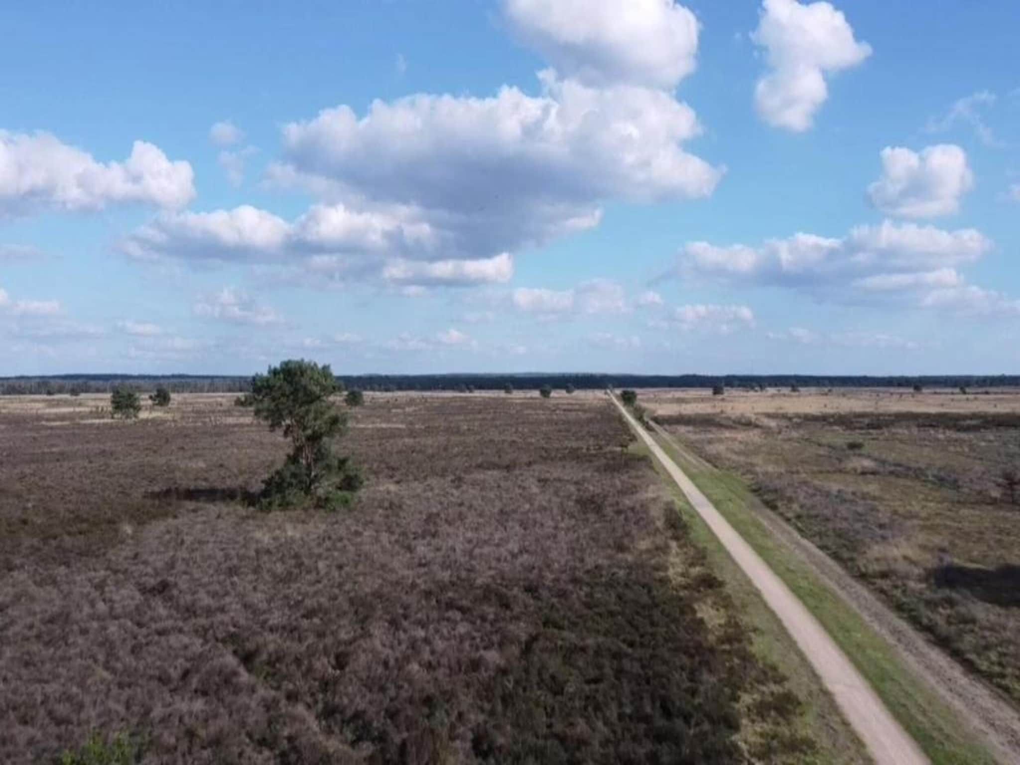 De omgeving van Vlindervallei Studio 2p in Ermelo