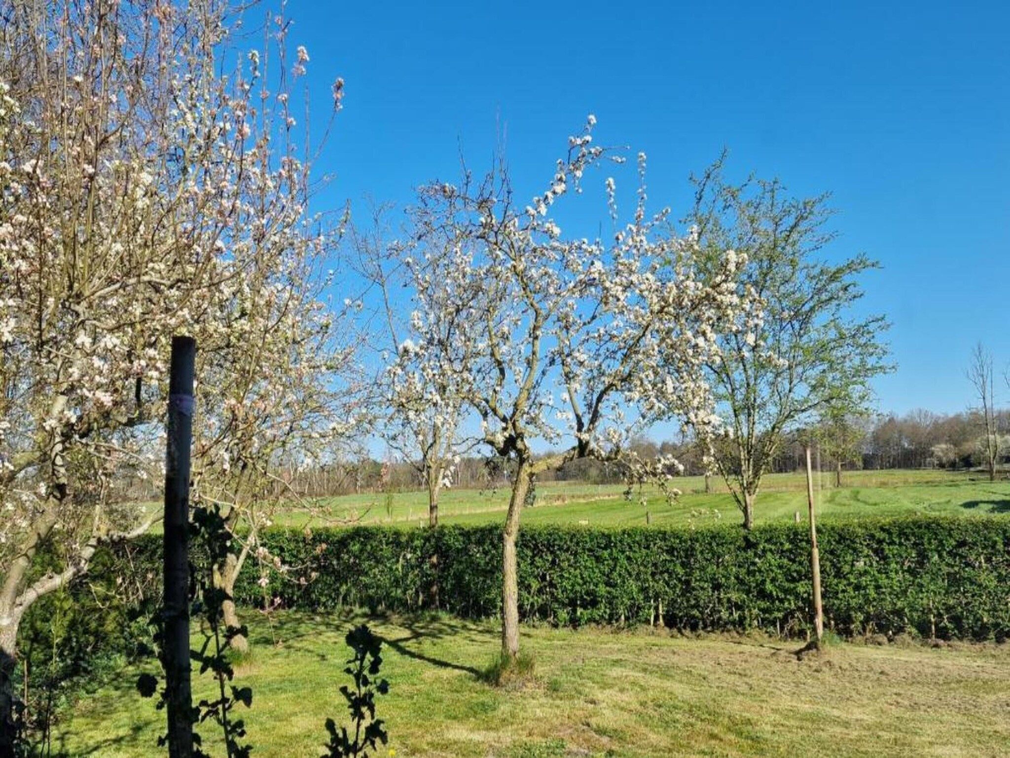De omgeving van Vlindervallei Studio 2p in Ermelo