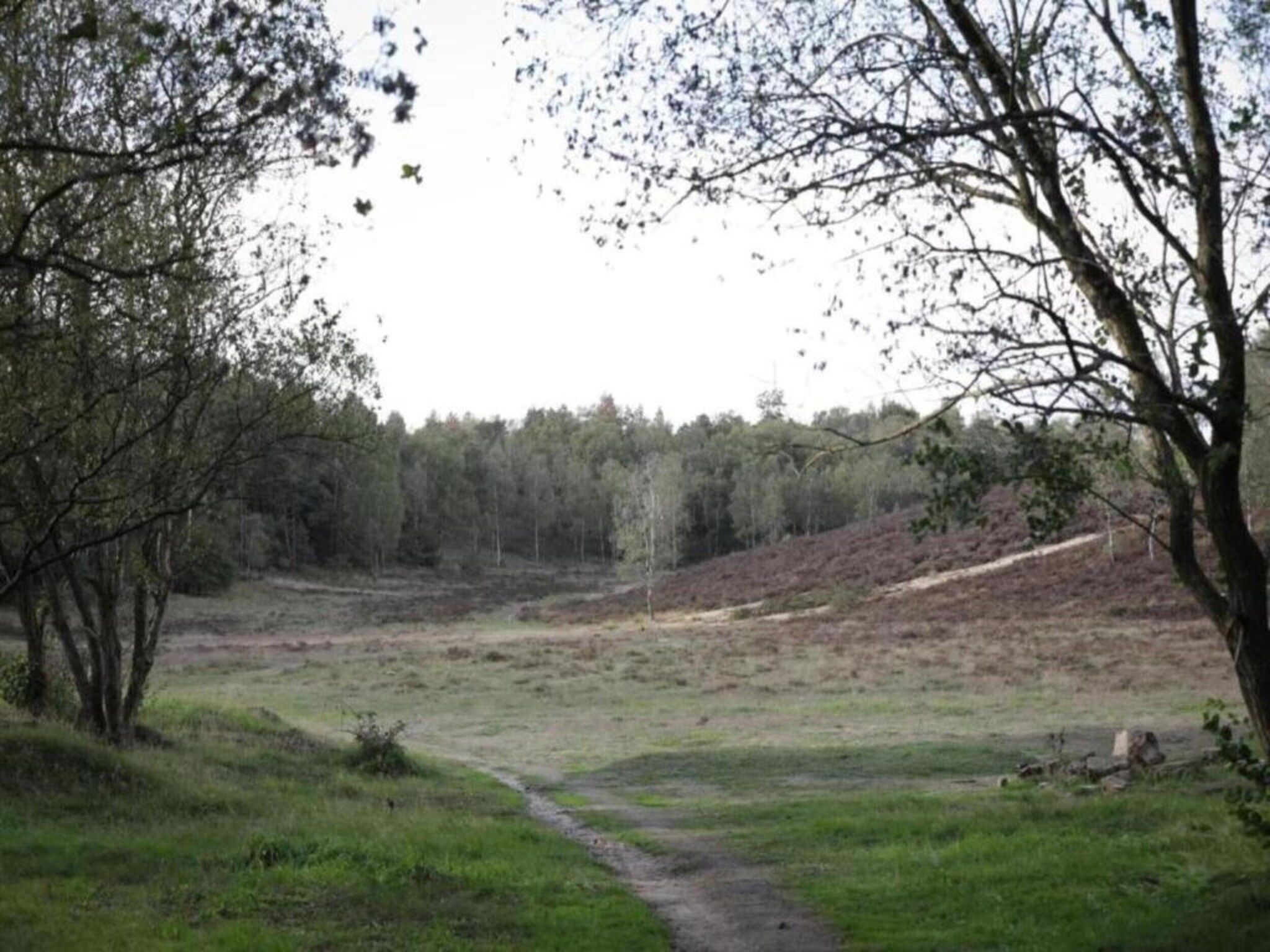 De omgeving van Heivlinder Comfort 4+2p in Ermelo